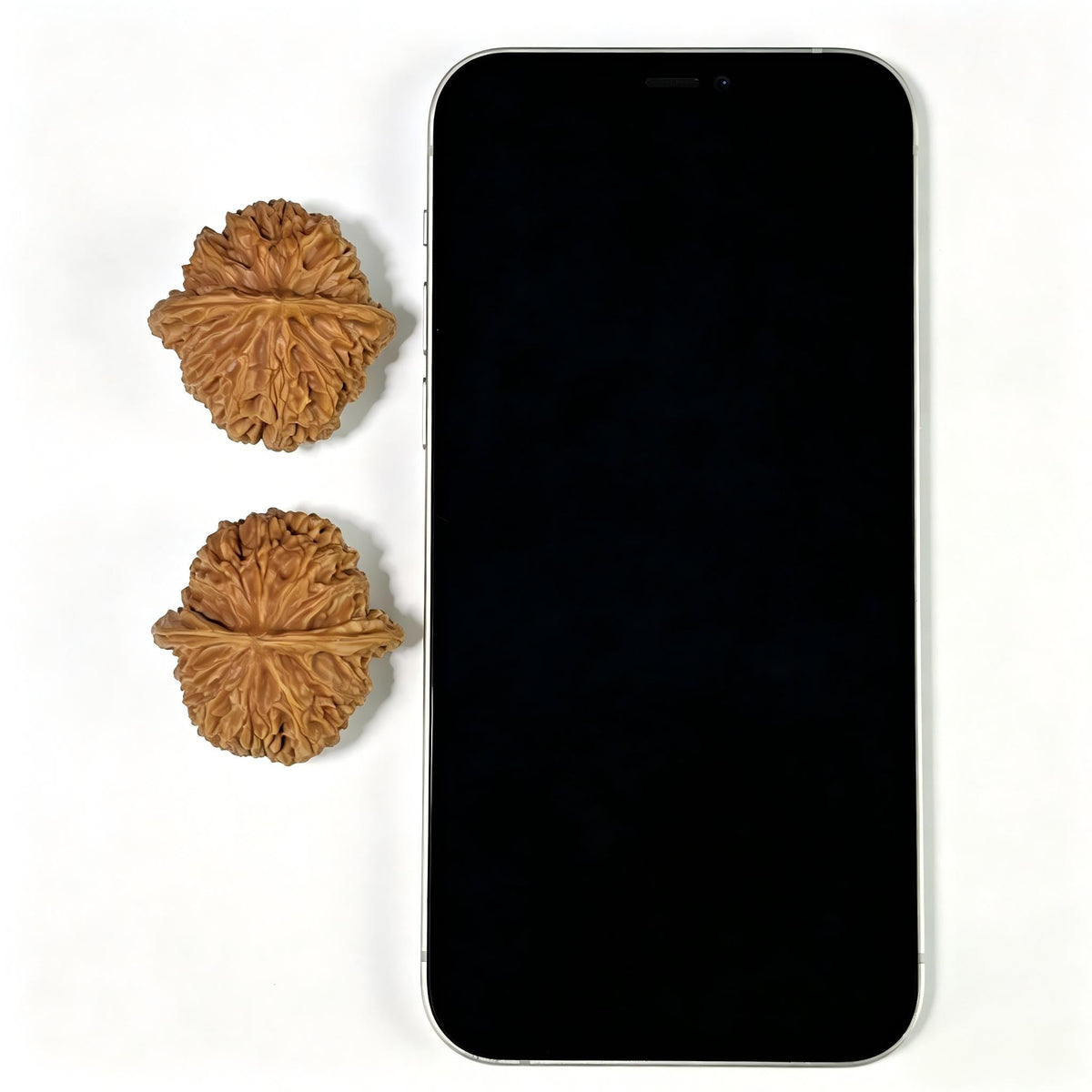 The "Apple Round" (Ping Guo Yuan) Perfectly Balanced EDC Pair | 35.0mm x 35.0mm | PGY-801 - ThePatinaProject