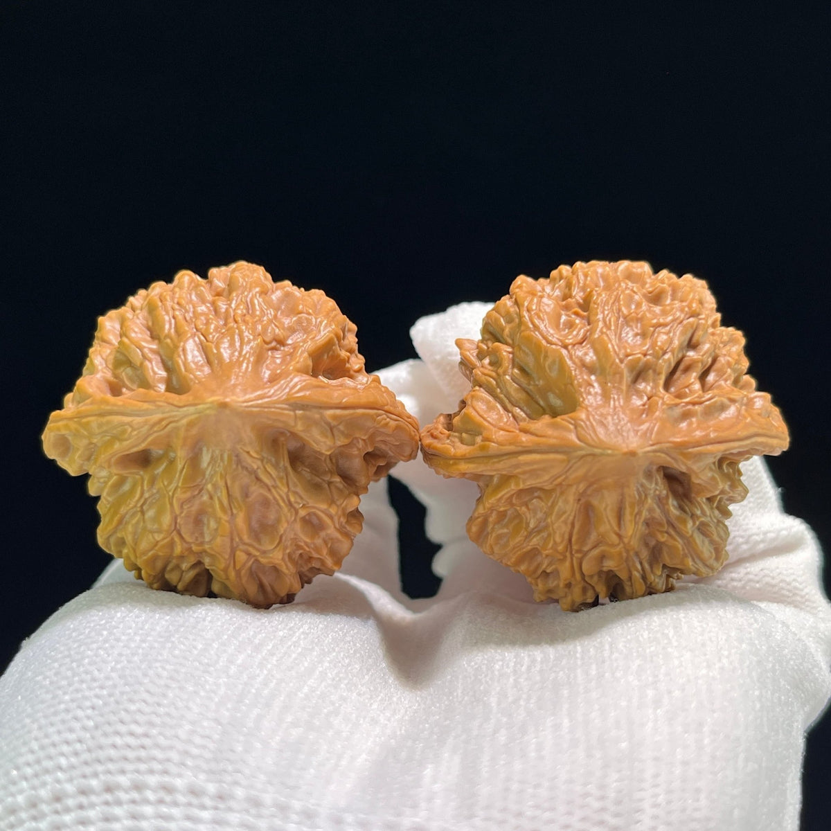 The "Baihua Mountain Qilin" (Bai Hua Shan Qi Lin Wen) Balanced Giant Pair | 40.0mm x 39.0mm | BHSQLW-709 - ThePatinaProject