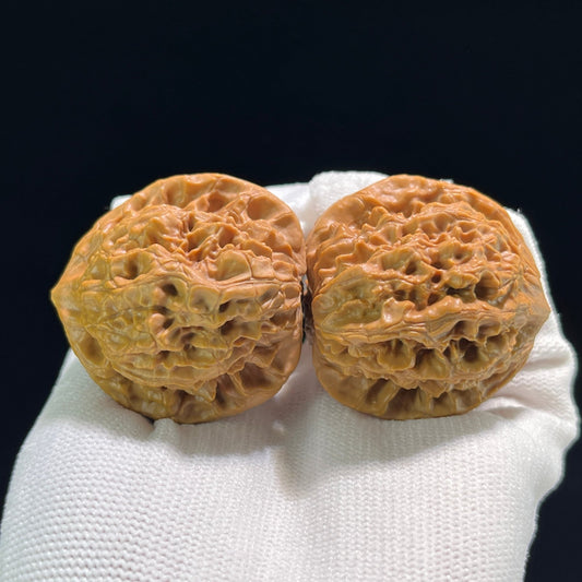 The "Baihua Mountain Qilin" (Bai Hua Shan Qi Lin Wen) Balanced Giant Pair | 40.0mm x 39.0mm | BHSQLW-709 - ThePatinaProject