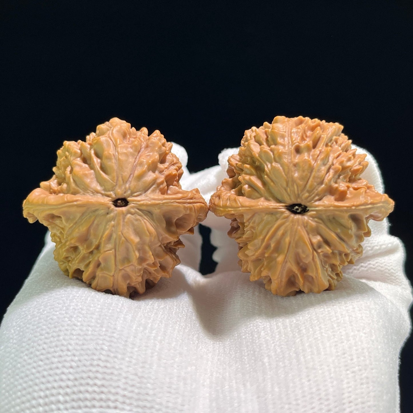 The "Baihua Mountain Qilin" (Bai Hua Shan Qi Lin Wen) Balanced Giant Pair | 40.0mm x 39.0mm | BHSQLW-709 - ThePatinaProject