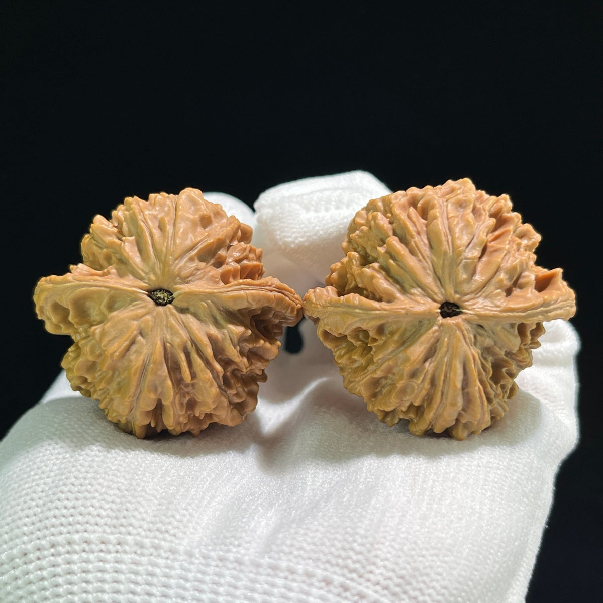 The "Baihua Mountain Qilin" (Qi Lin Wen) Ergonomic Giant Pair | 40.0mm x 37.0mm | BHSQLW-706 - ThePatinaProject