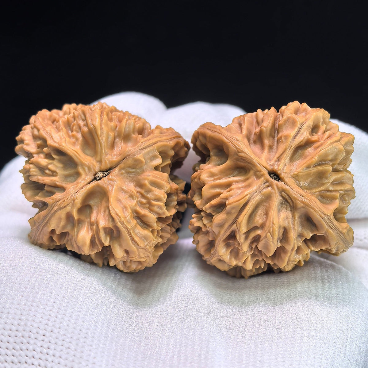 The "Beijing Chicken Heart" (Beijing Ji Xin) Pair | 39.0mm x 40.0mm | JX-404 - ThePatinaProject
