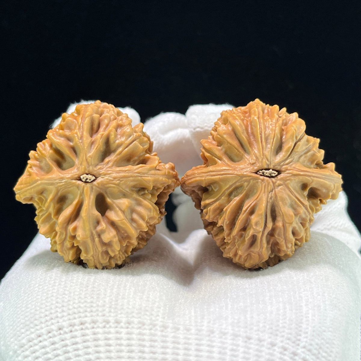 The "Beijing Chicken Heart" (Ji Xin) Elongated Deep-Belly Pair | 38.0mm x 40.0mm | BJJX-1001 - ThePatinaProject