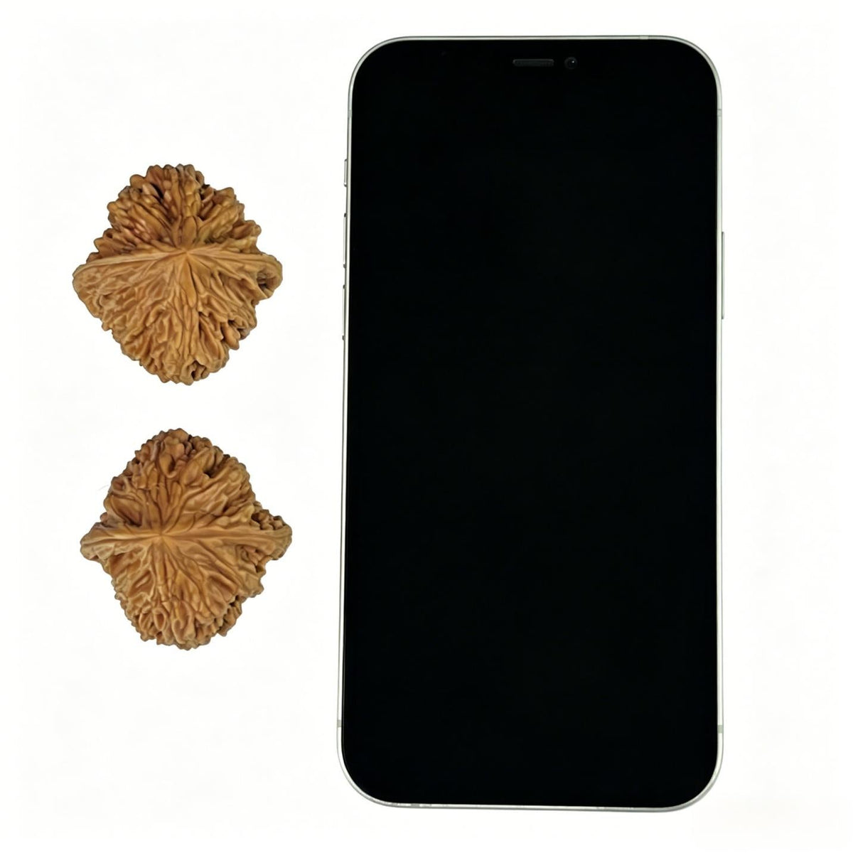 The "Beijing Chicken Heart" (Ji Xin) Elongated Deep-Belly Pair | 38.0mm x 40.0mm | BJJX-1001 - ThePatinaProject