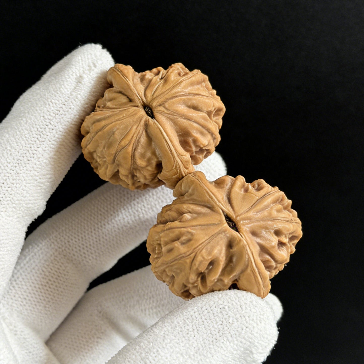 The "Big Red Robe" (Da Hong Pao) Pair | 37.0mm x 35.0mm | DHP-01 - ThePatinaProject