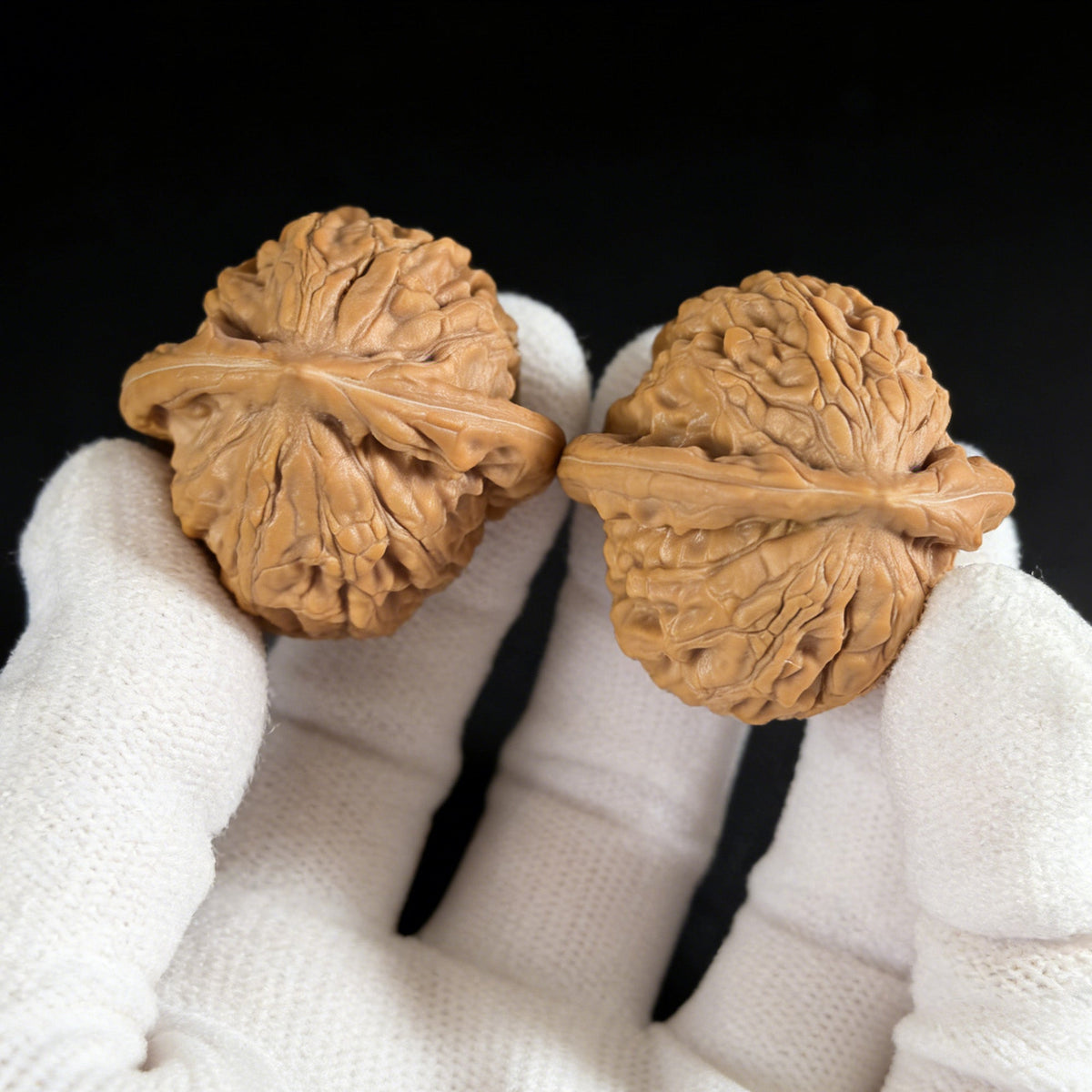 The "Big Red Robe" (Da Hong Pao) Pair | 37.0mm x 35.0mm | DHP-01 - ThePatinaProject
