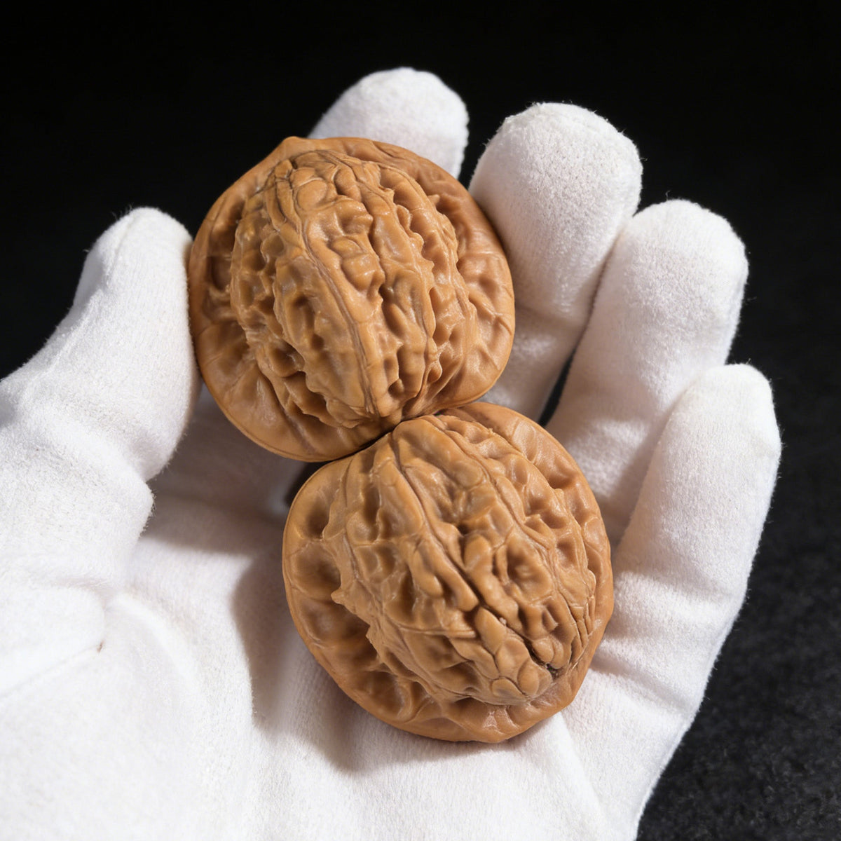 The "Big Red Robe" (Da Hong Pao) Pair | 37.0mm x 35.0mm | DHP-01 - ThePatinaProject
