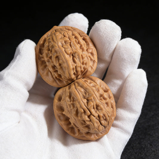 The "Big Red Robe" (Da Hong Pao) Pair | 37.0mm x 35.0mm | DHP-01 - ThePatinaProject