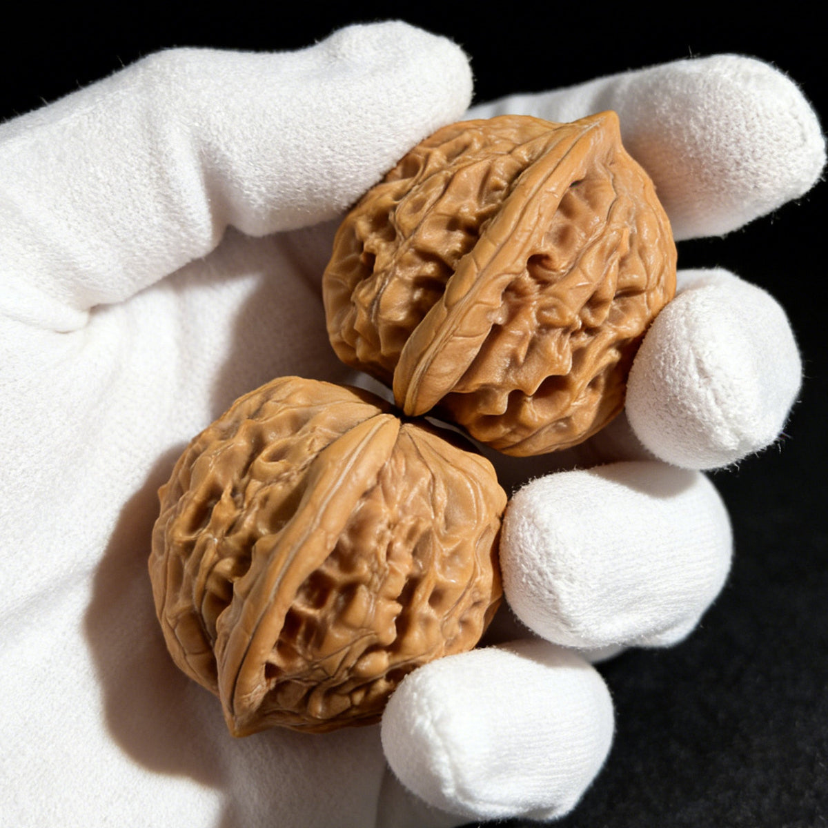 The "Big Red Robe" (Da Hong Pao) Pair | 37.0mm x 35.0mm | DHP-01 - ThePatinaProject