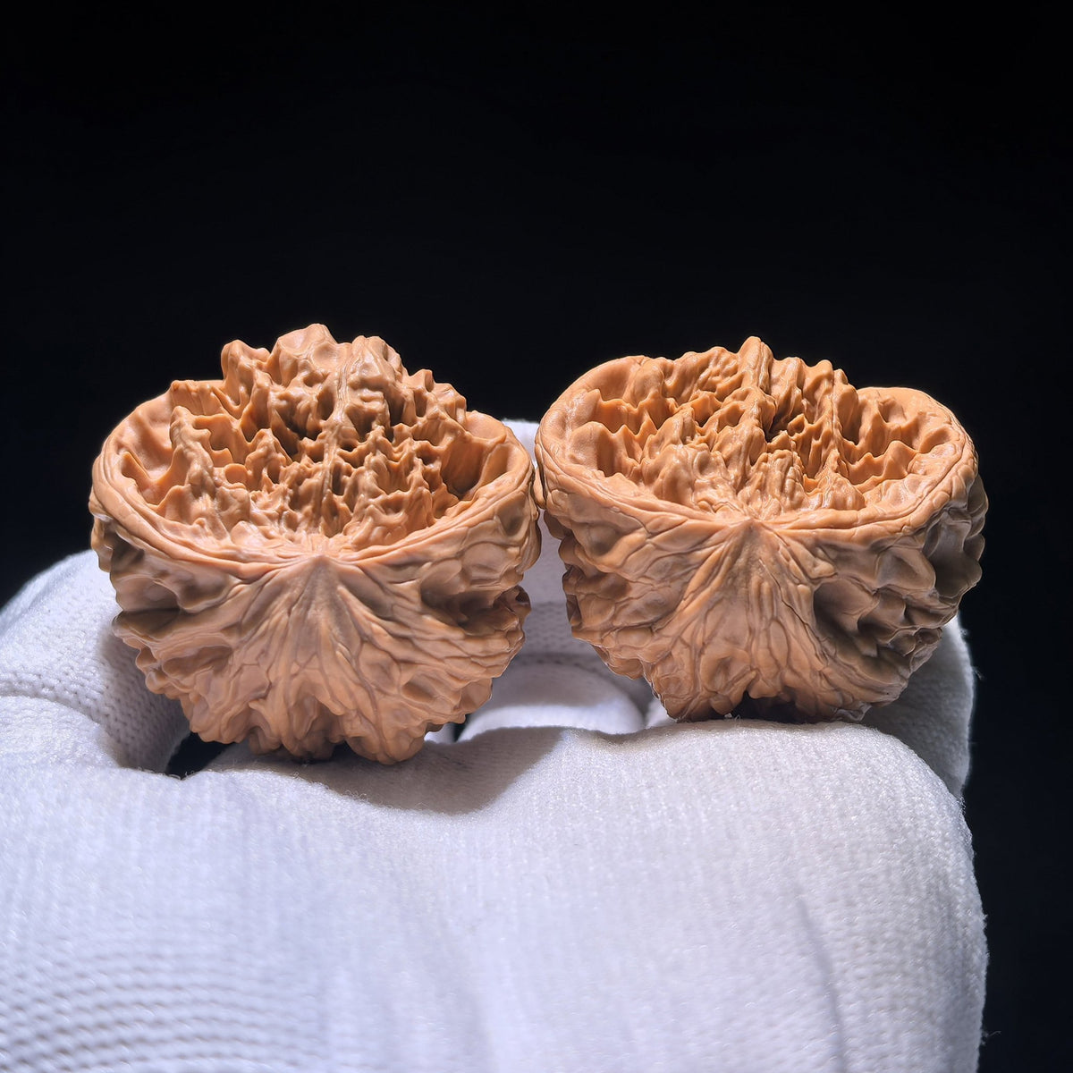 The "Big Ridge" Snake-Head Treasure Basin (Ju Bao Pen) | 40.0mm x 33.0mm | CJST-1201E - ThePatinaProject