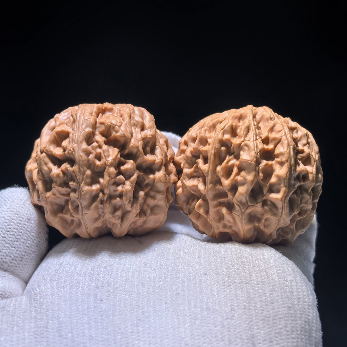 The "Big Ridge" Snake-Head Treasure Basin (Ju Bao Pen) | 40.0mm x 33.0mm | CJST-1201E - ThePatinaProject