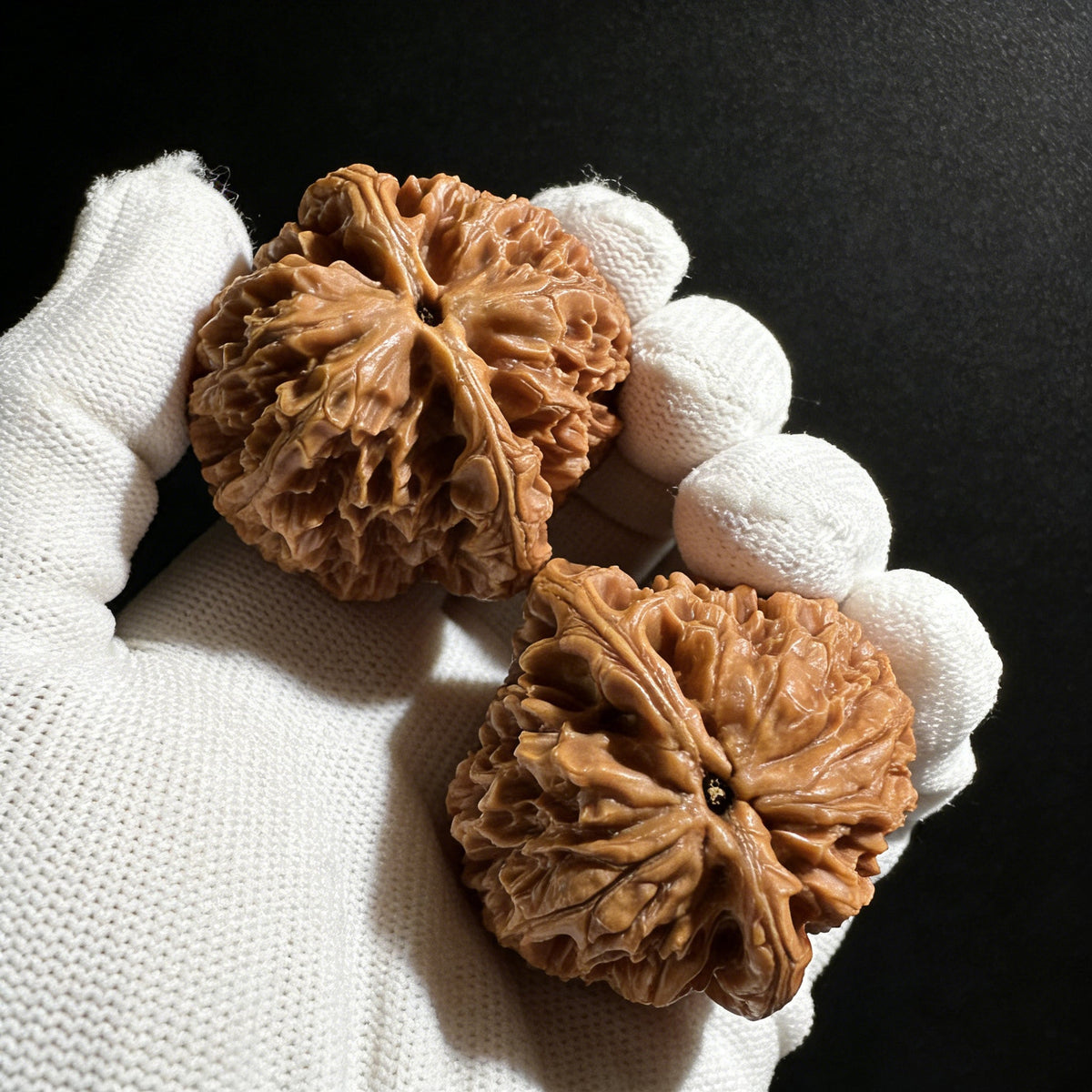 The "Big Thorn" (Da Ci) Pair | 46.0mm x 44.0mm | DC-01 - ThePatinaProject