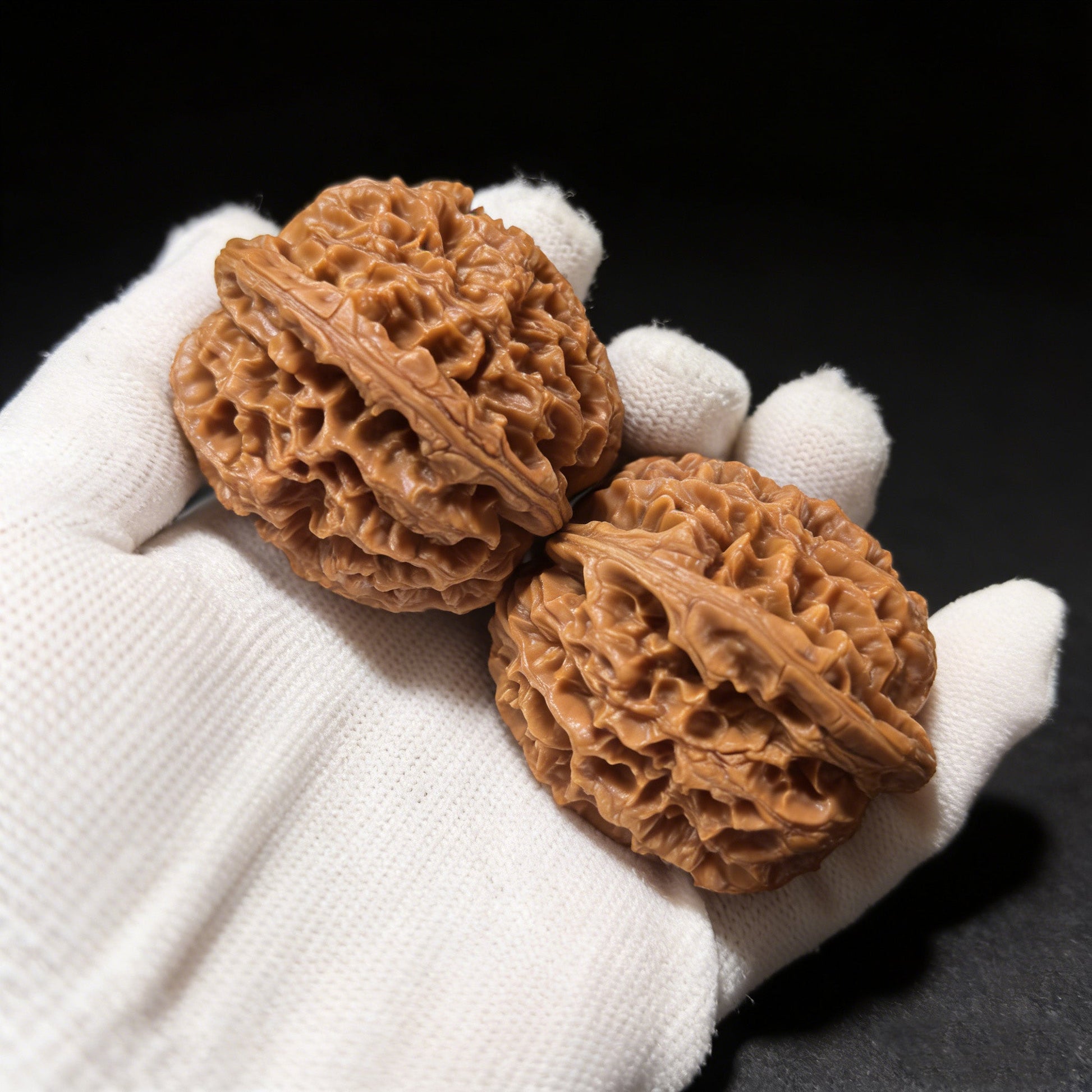 The "Big Thorn" (Da Ci) Pair | 46.0mm x 44.0mm | DC-01 - ThePatinaProject