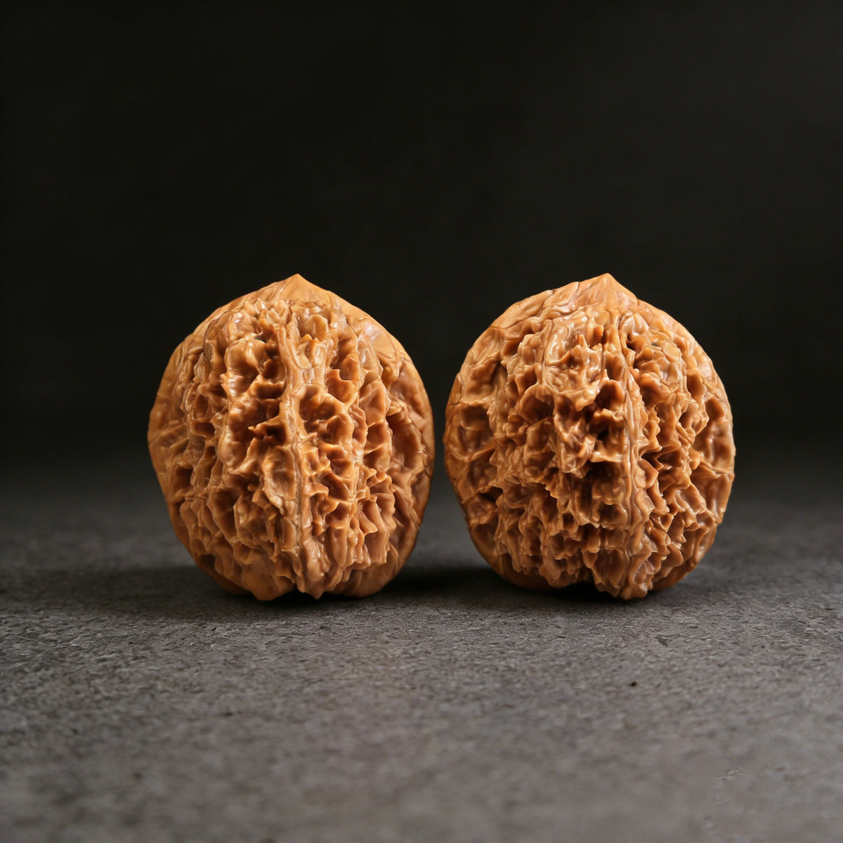 The "Big Thorn" (Da Ci) Pair | 46.0mm x 44.0mm | DC-01 - ThePatinaProject
