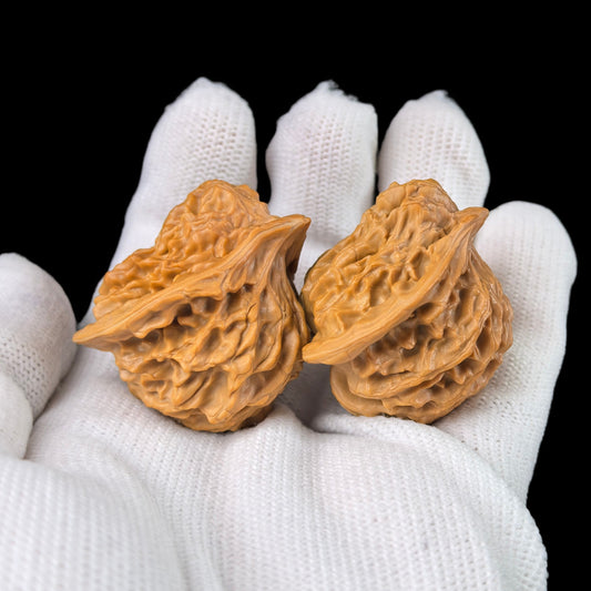 The "Birdie" Lion Head Pair | 35.0mm | YXXL-03 - ThePatinaProject
