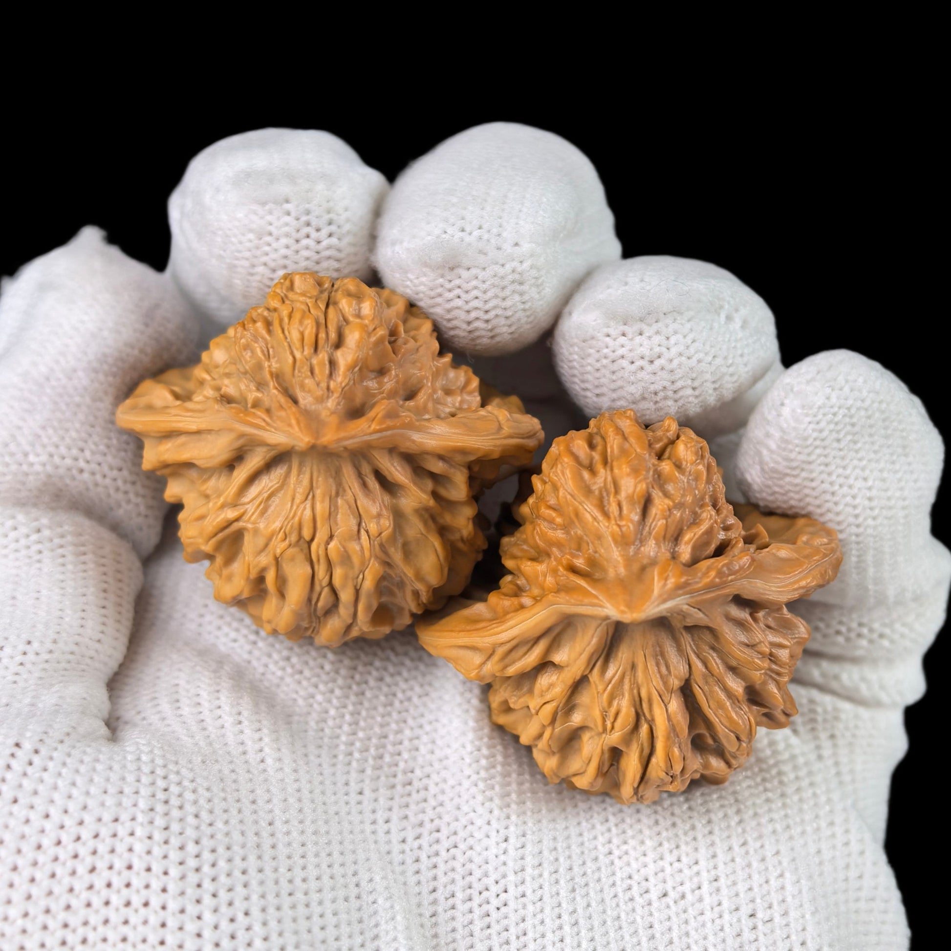The "Birdie" Lion Head Pair | 35.0mm | YXXL-03 - ThePatinaProject