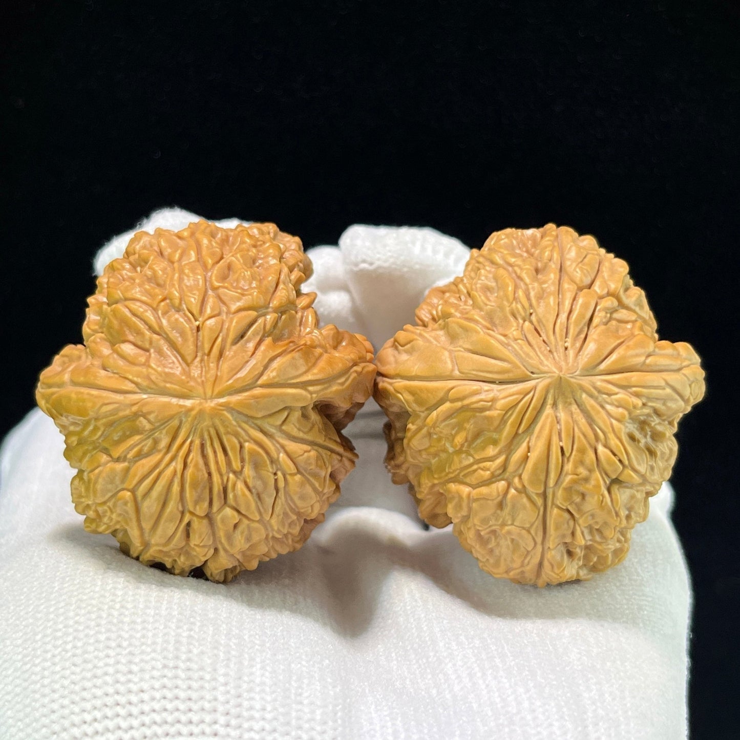 The "Blizzard" (Bao Xue) Compact Deep-Belly Pair | 39.0mm x 43.0mm | BX-1002 - ThePatinaProject