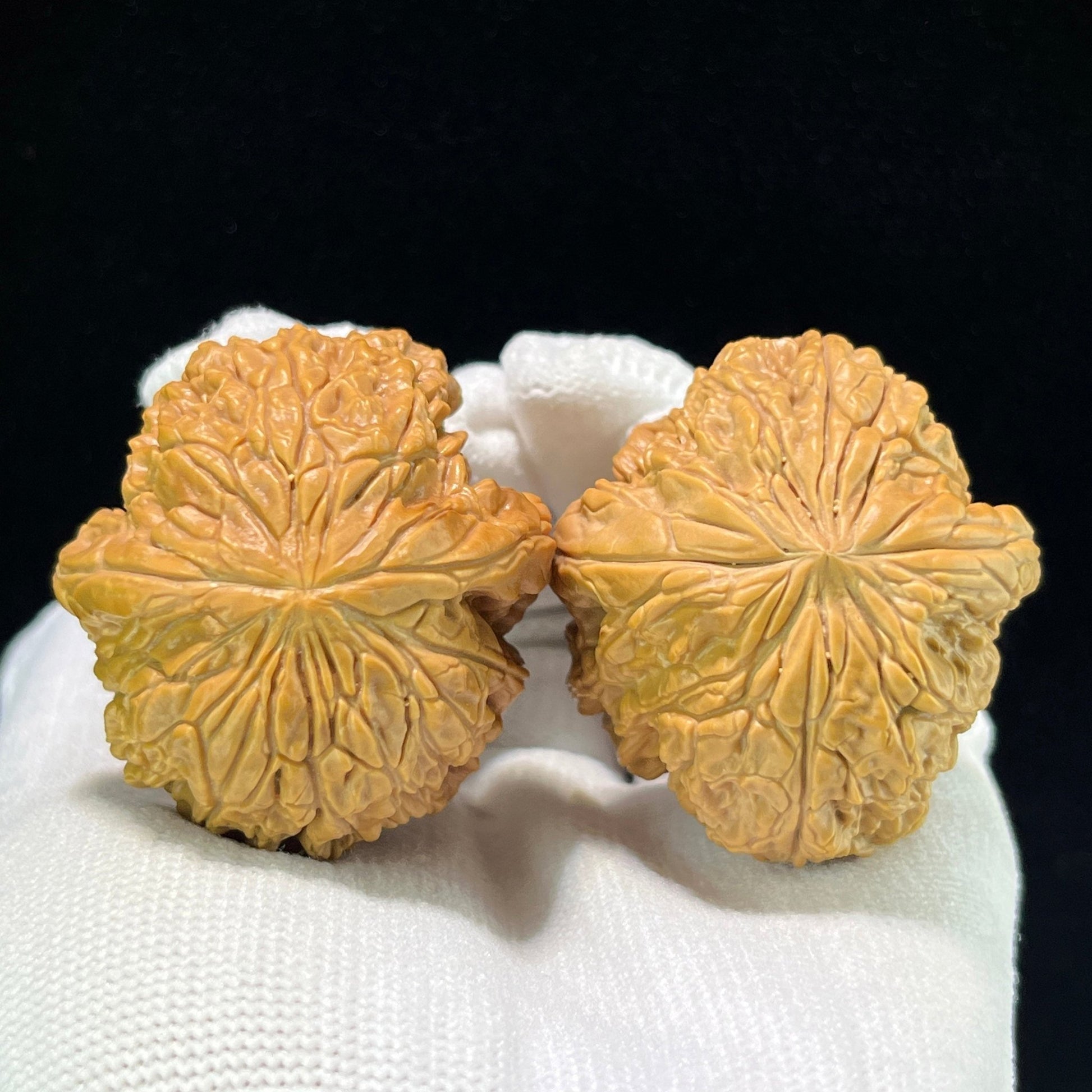 The "Blizzard" (Bao Xue) Compact Deep-Belly Pair | 39.0mm x 43.0mm | BX-1002 - ThePatinaProject