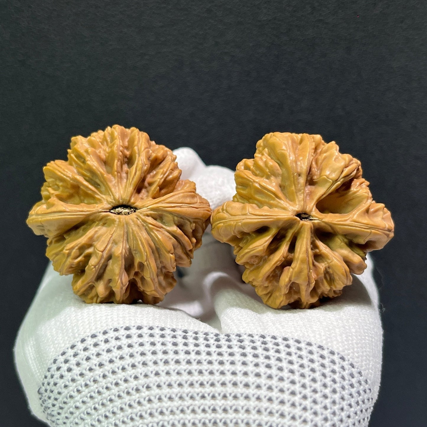 The "Blizzard" (Bao Xue) Pair | 41.0mm x 40.0mm | BX-602 - ThePatinaProject