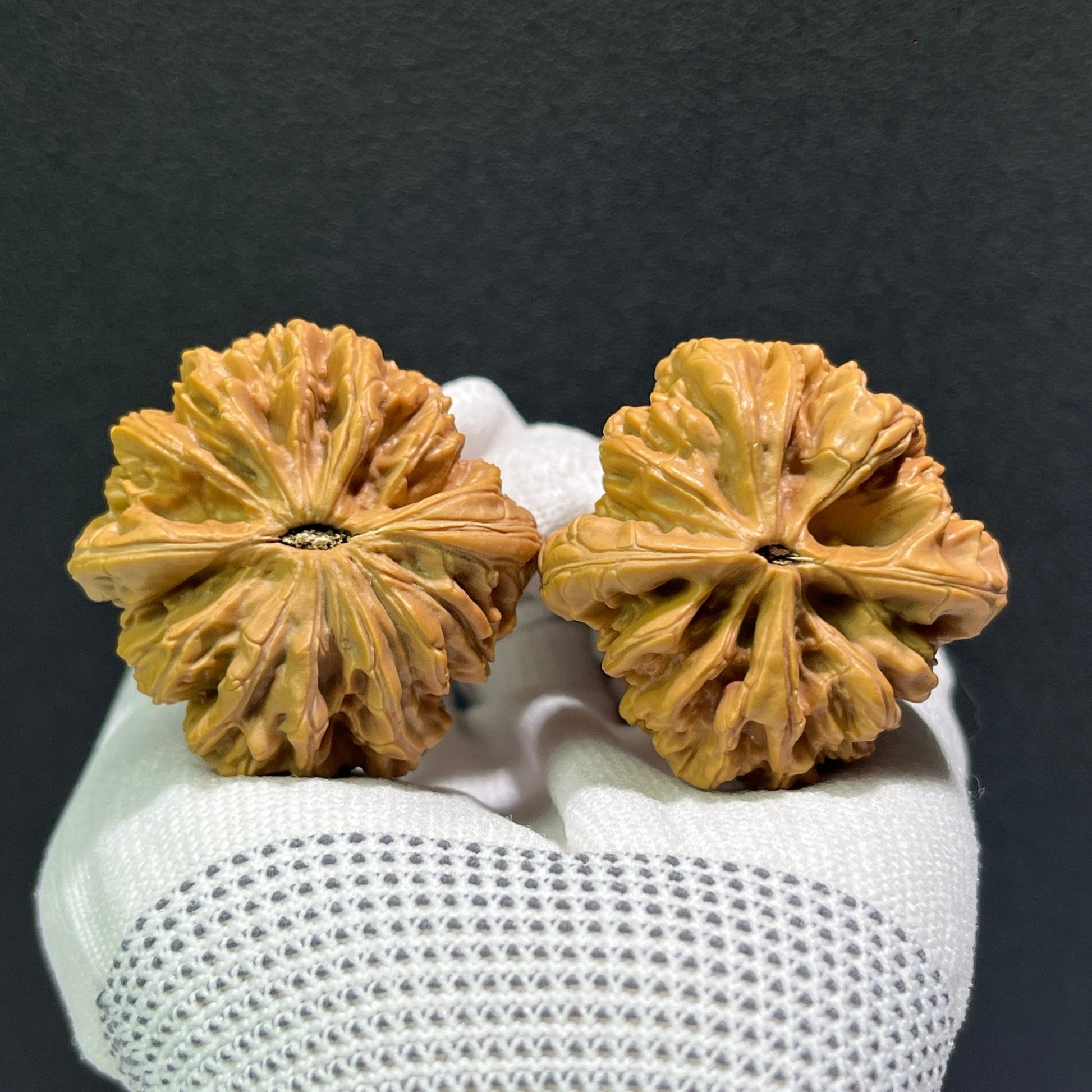The "Blizzard" (Bao Xue) Pair | 41.0mm x 40.0mm | BX-602 - ThePatinaProject