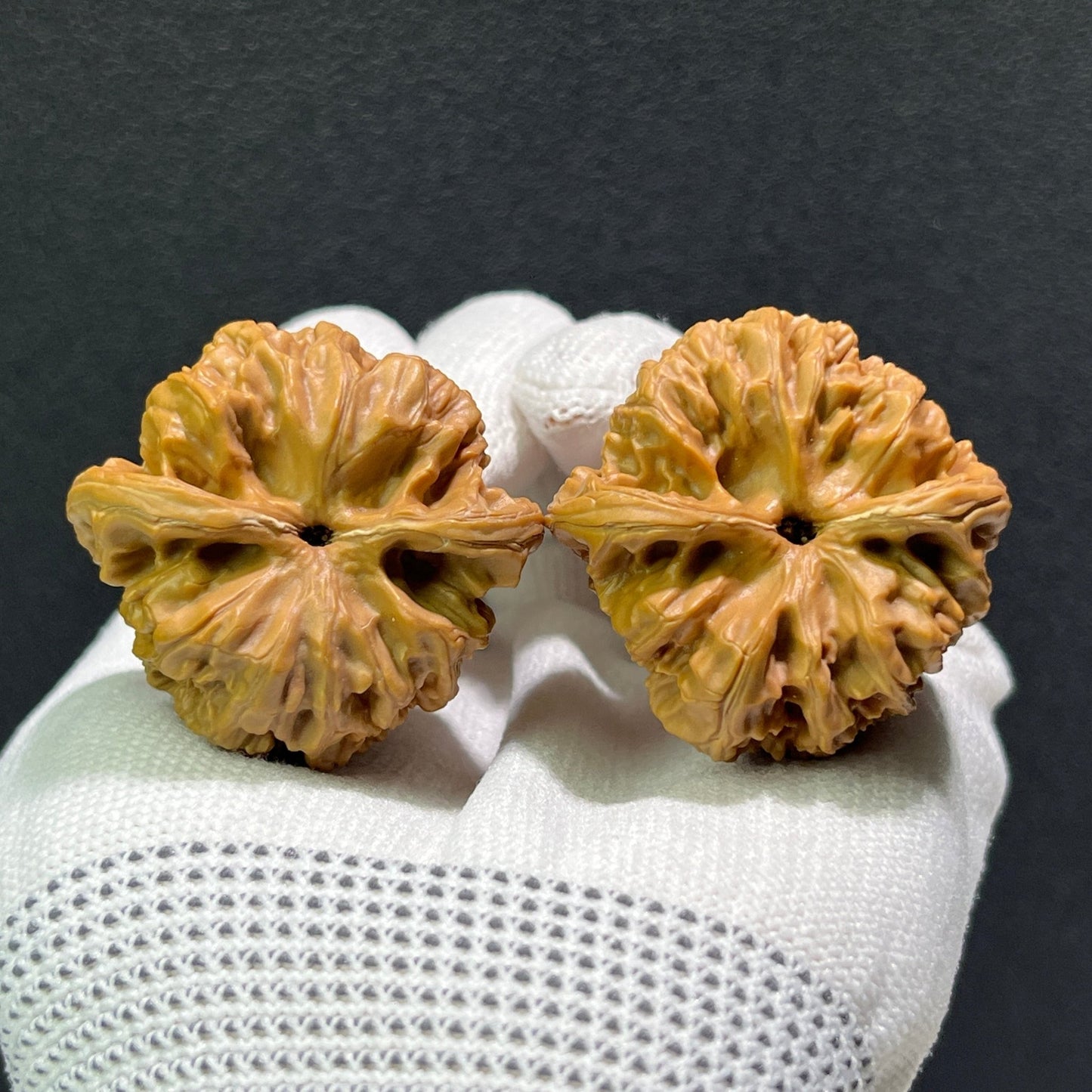 The "Blizzard" (Bao Xue) Pair | 44.0mm x 42.0mm | BX-601 - ThePatinaProject