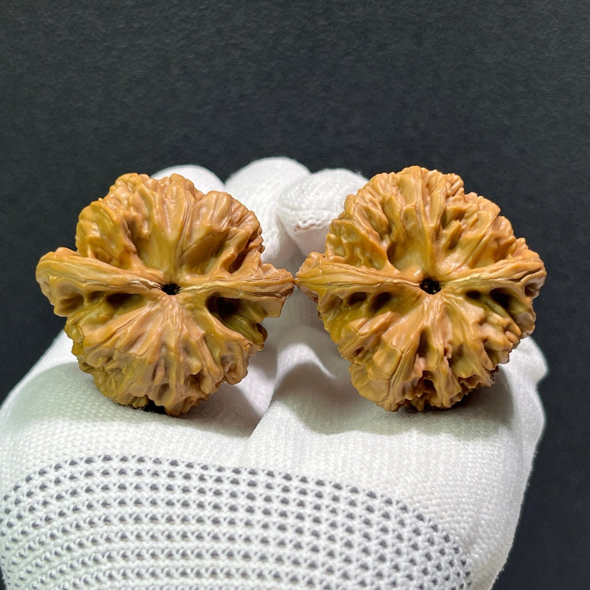 The "Blizzard" (Bao Xue) Pair | 44.0mm x 42.0mm | BX-601 - ThePatinaProject