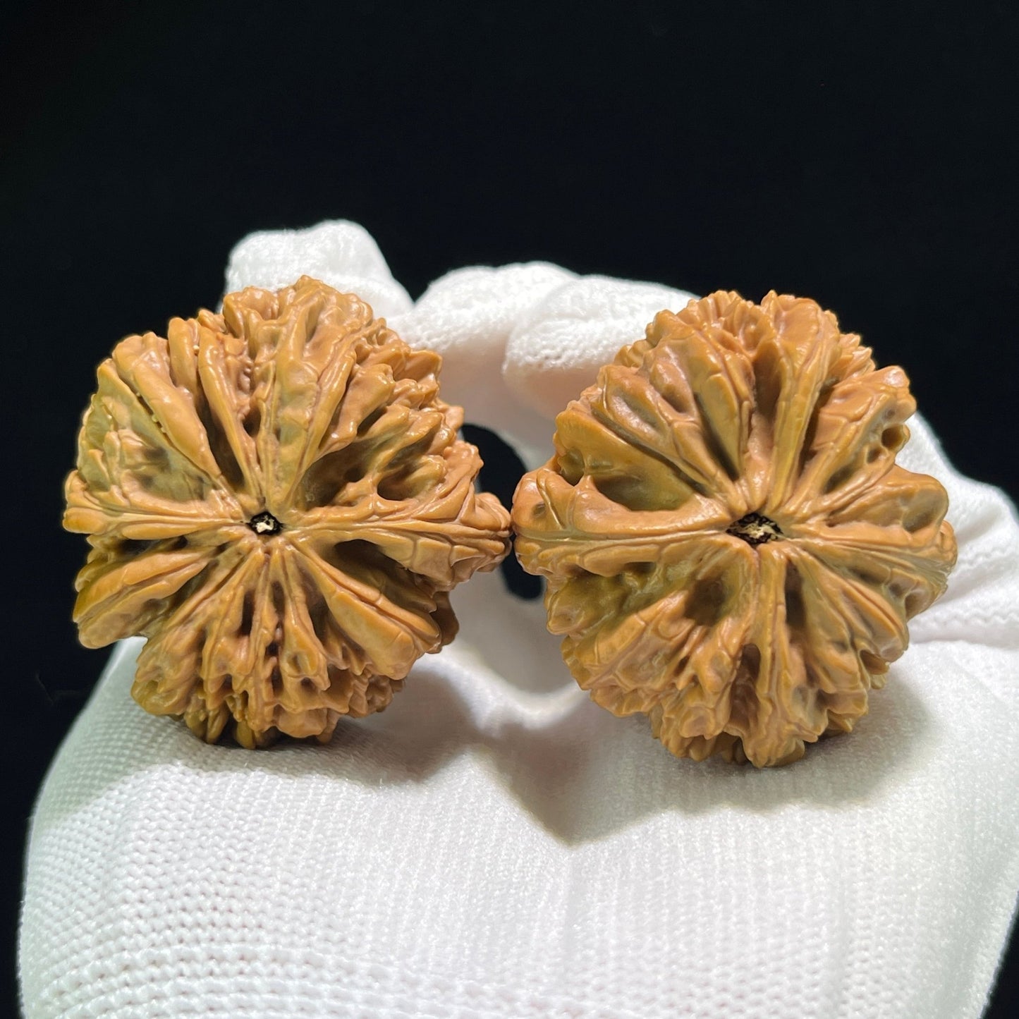 The "Blizzard" (Bao Xue) Ultra-Squat Pair | 41.0mm x 35.0mm | BX-902 - ThePatinaProject