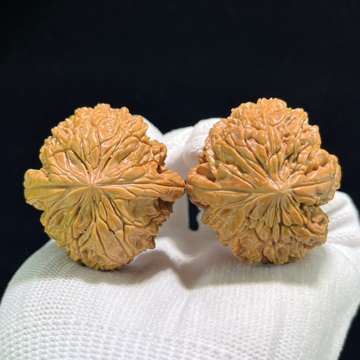 The "Blizzard" (Bao Xue) Ultra-Squat Pair | 41.0mm x 35.0mm | BX-902 - ThePatinaProject