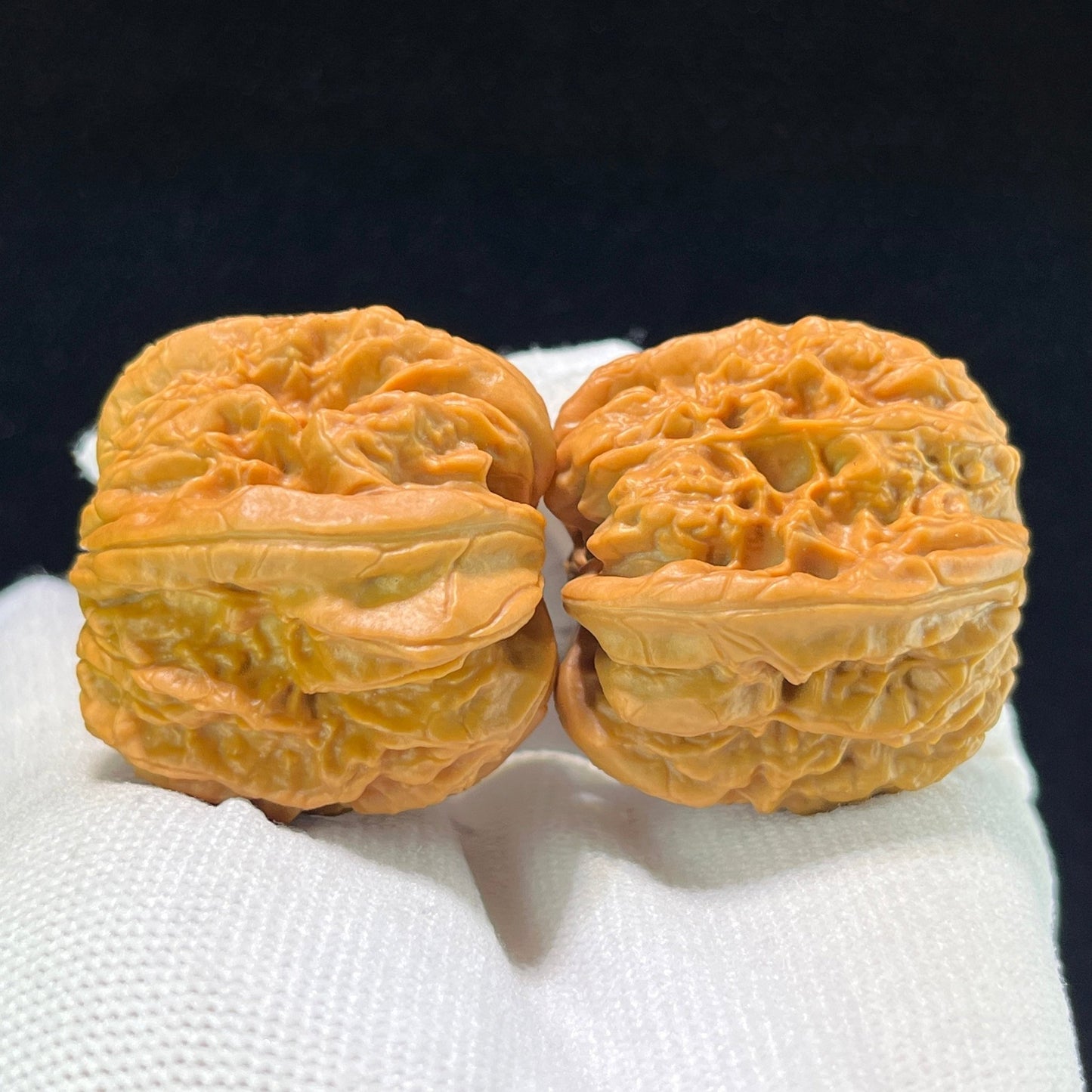 The "Blizzard Snake-Skin Texture" (Bao Xue She Pi) Deep-Belly Compact Pair | 35.0mm x 36.0mm | BXSP-1001 - ThePatinaProject