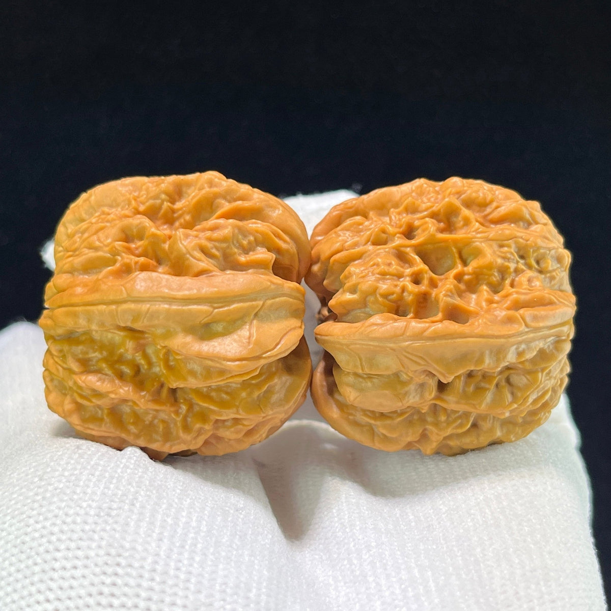 The "Blizzard Snake-Skin Texture" (Bao Xue She Pi) Deep-Belly Compact Pair | 35.0mm x 36.0mm | BXSP-1001 - ThePatinaProject