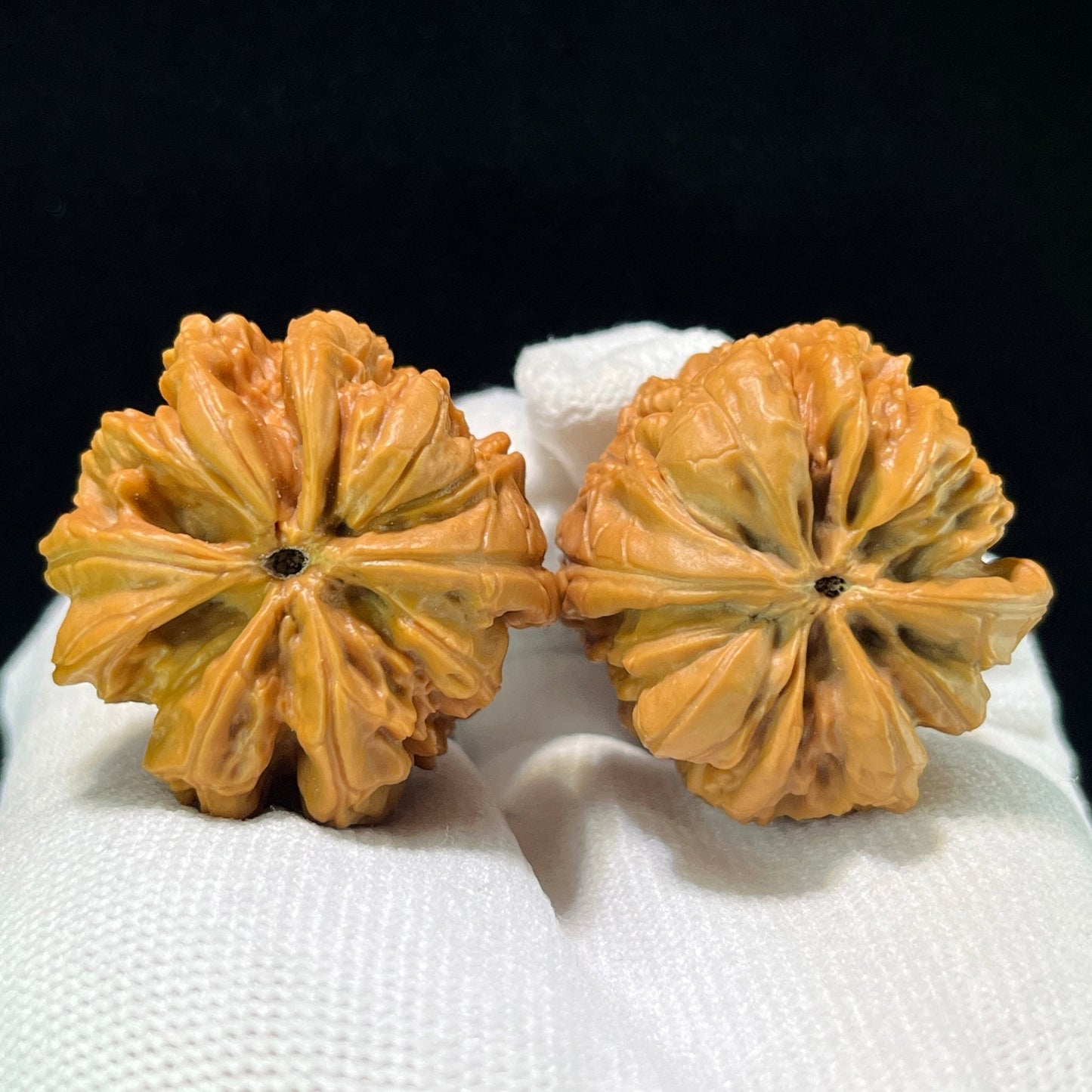 The "Blizzard Snake-Skin Texture" (Bao Xue She Pi) Deep-Belly Compact Pair | 35.0mm x 36.0mm | BXSP-1001 - ThePatinaProject