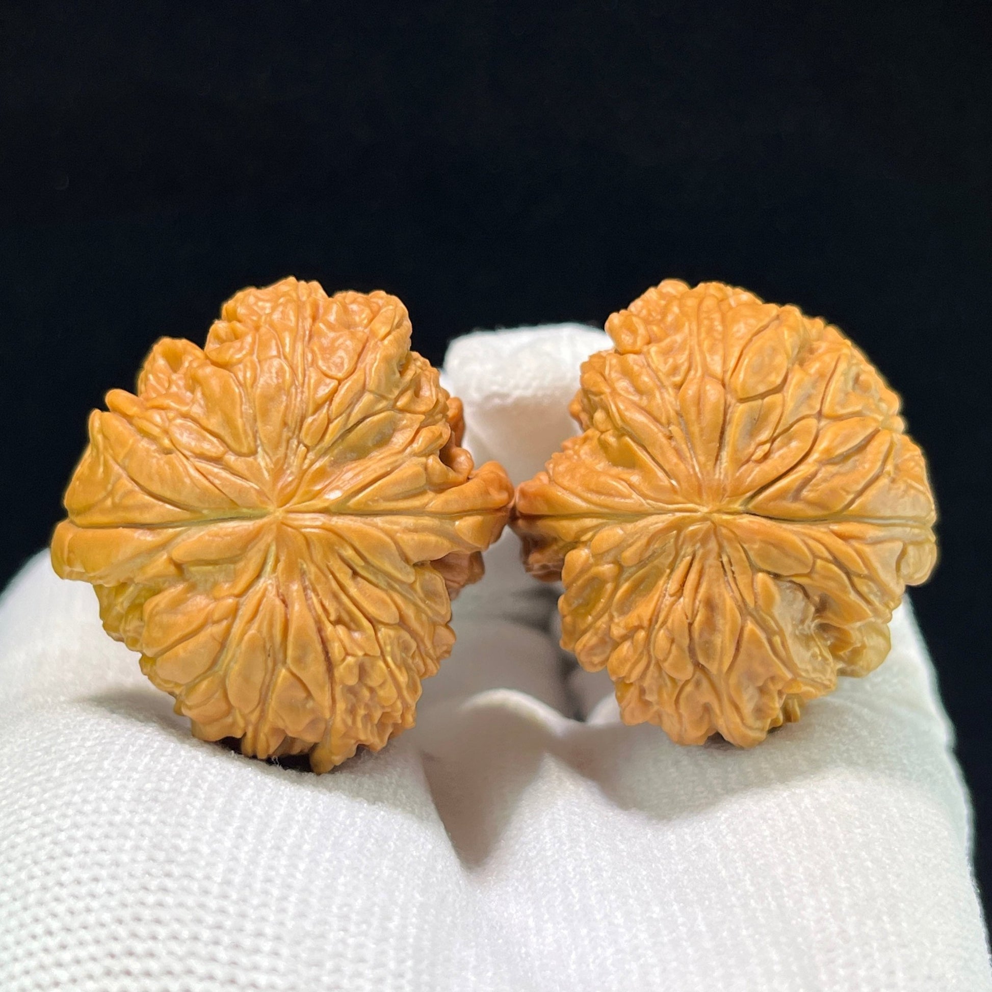 The "Blizzard Snake-Skin Texture" (Bao Xue She Pi) Deep-Belly Compact Pair | 35.0mm x 36.0mm | BXSP-1001 - ThePatinaProject