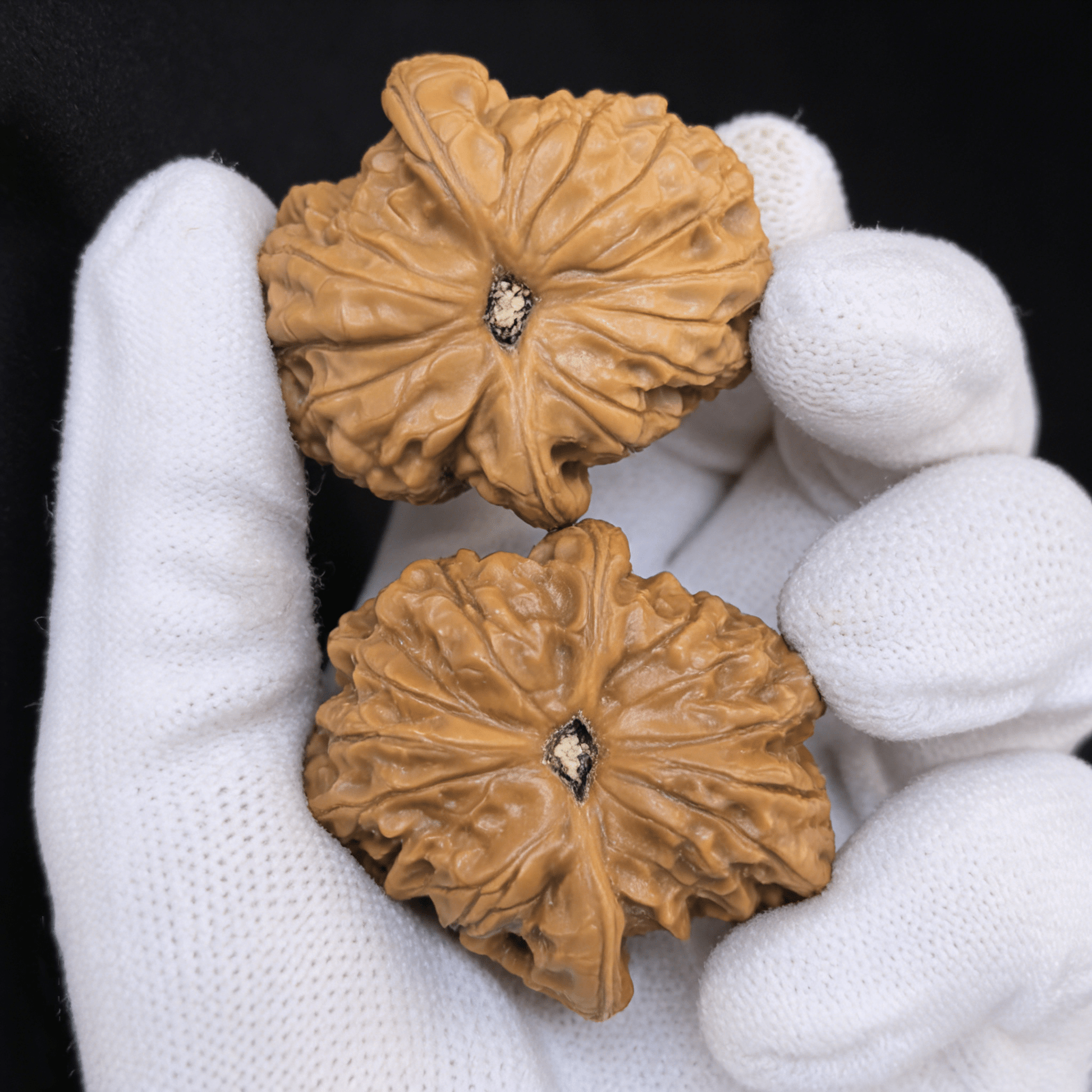 The "Blood Qilin" (Xue Qi Lin) – 43mm Giant Red Patina Pair | BQL-11 (Actual Item Pictured) - ThePatinaProject