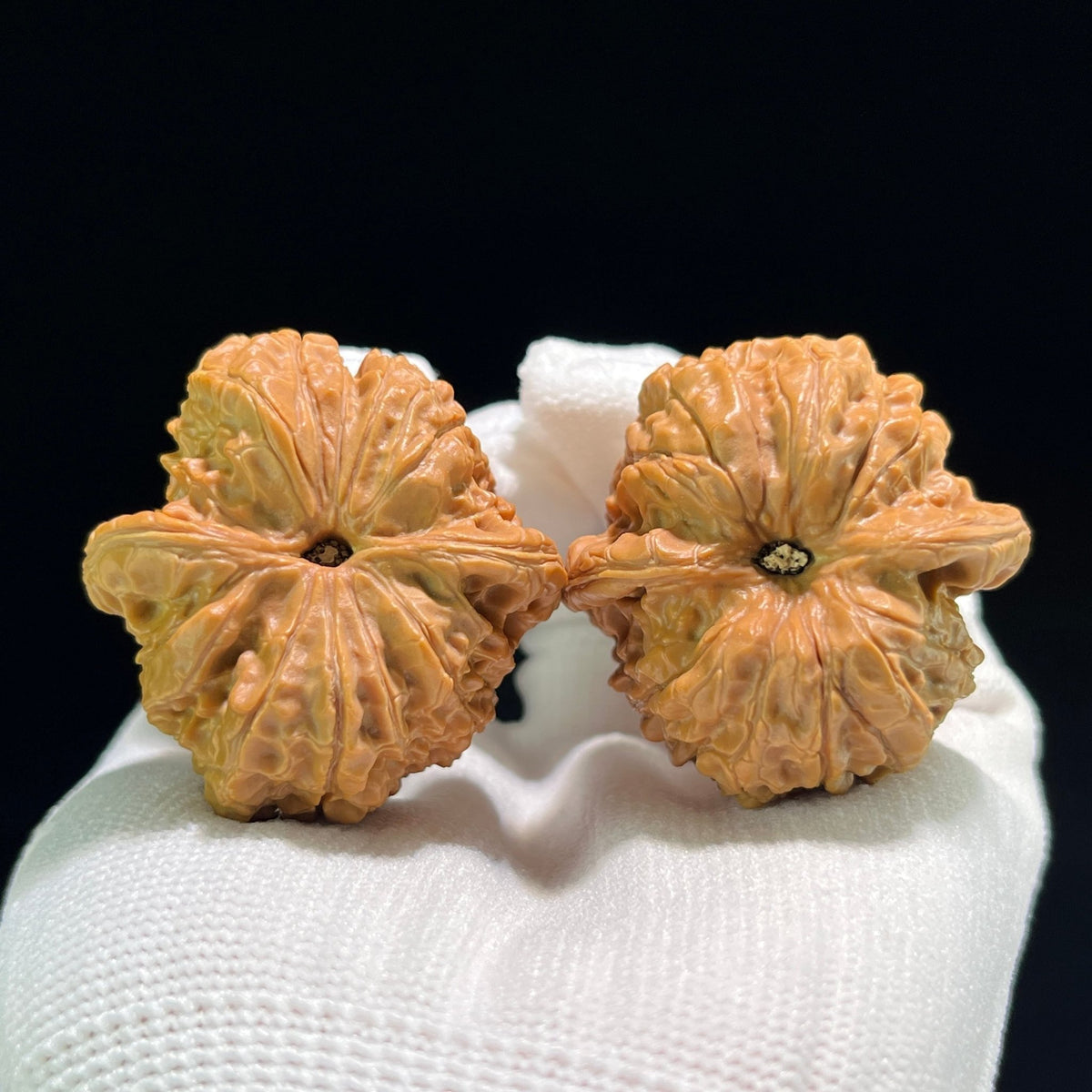 The "Blood Qilin" (Xue Qi Lin) Deep-Bellied Armored Pair | 39.0mm x 40.0mm | XQL-803 - ThePatinaProject