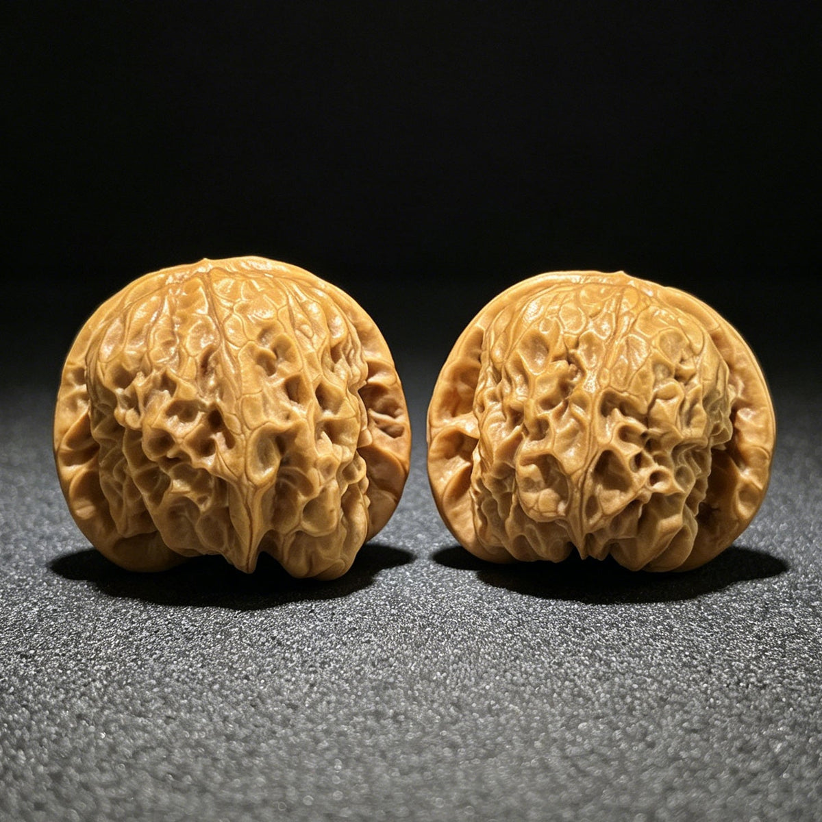 The "Bodhidharma" (Da Mo) Colossal Ergonomic Giant | 45.0mm x 42.0mm | DM-902 - ThePatinaProject