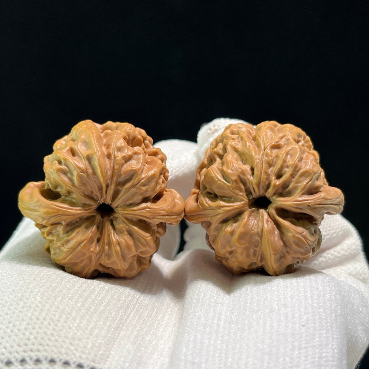 The "Bodhidharma" (Da Mo) Pair | 36.0mm x 35.0mm | DM-601 - ThePatinaProject