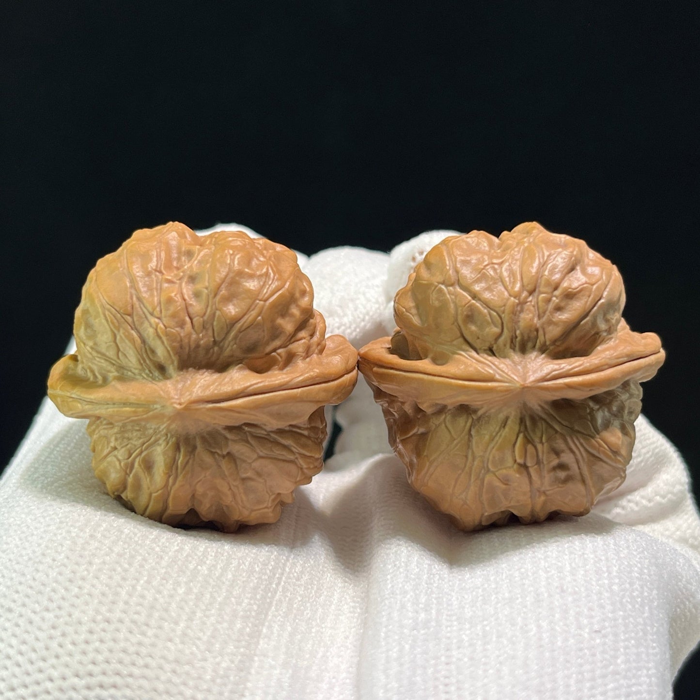 The "Bodhidharma" (Da Mo) Pair | 36.0mm x 35.0mm | DM-601 - ThePatinaProject