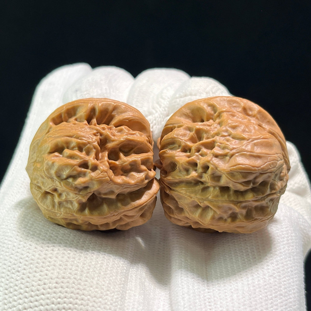The "Bodhidharma" (Da Mo) Pair | 36.0mm x 35.0mm | DM-601 - ThePatinaProject