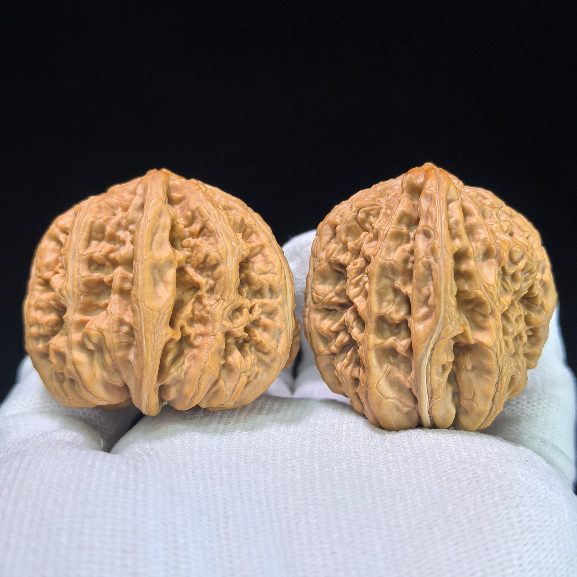 The "Bold-Ribbed Half-Wall" (Cu Jin Ban Bi) Collector-Grade Deep-Belly Pair | 40.0mm x 44.0mm | CJBB-401E - ThePatinaProject