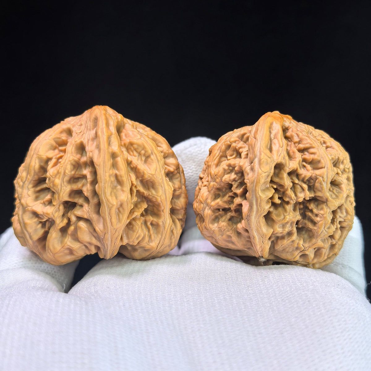 The "Bold-Ribbed Half-Wall" (Cu Jin Ban Bi) Collector-Grade Deep-Belly Pair | 40.0mm x 44.0mm | CJBB-401E - ThePatinaProject