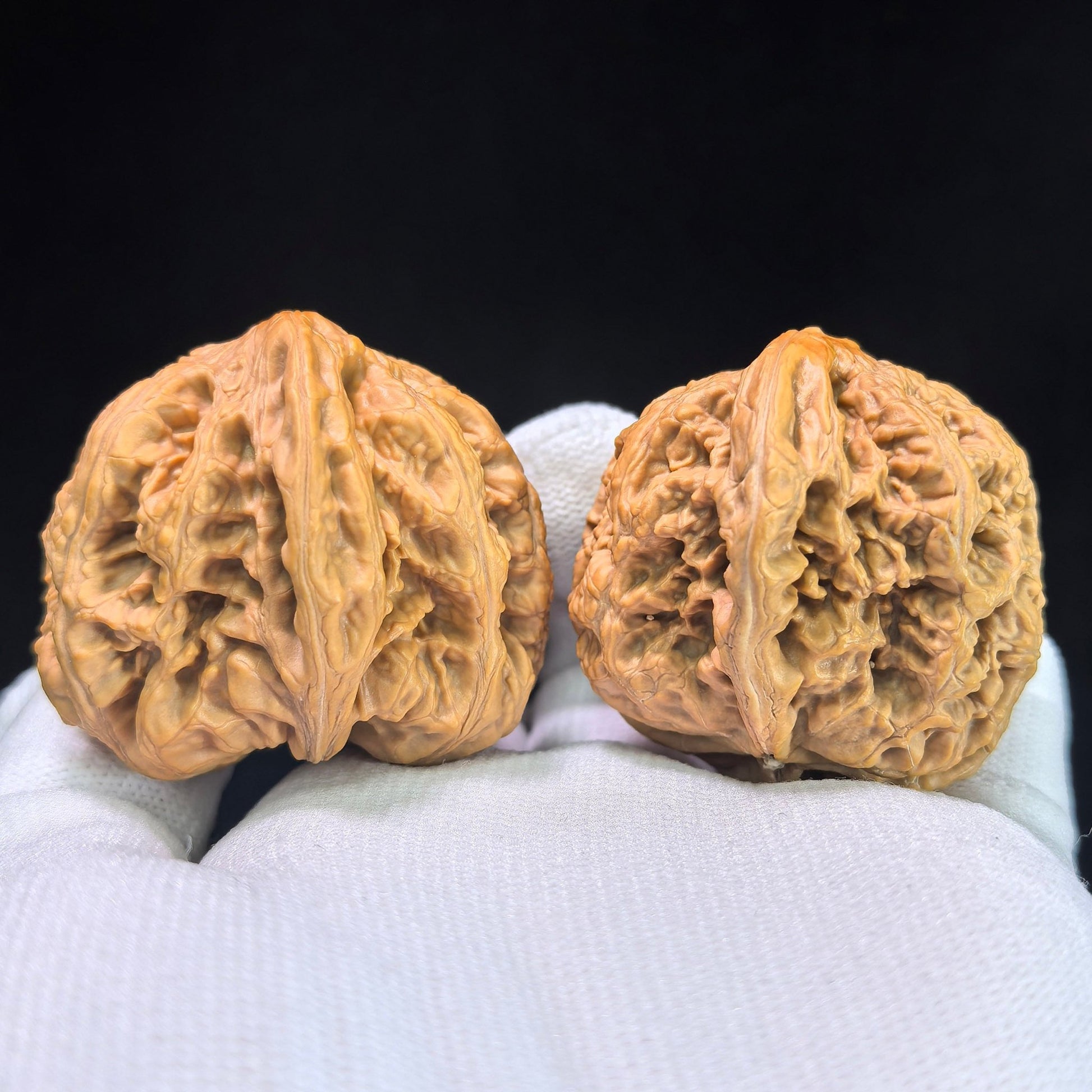 The "Bold-Ribbed Half-Wall" (Cu Jin Ban Bi) Collector-Grade Deep-Belly Pair | 40.0mm x 44.0mm | CJBB-401E - ThePatinaProject