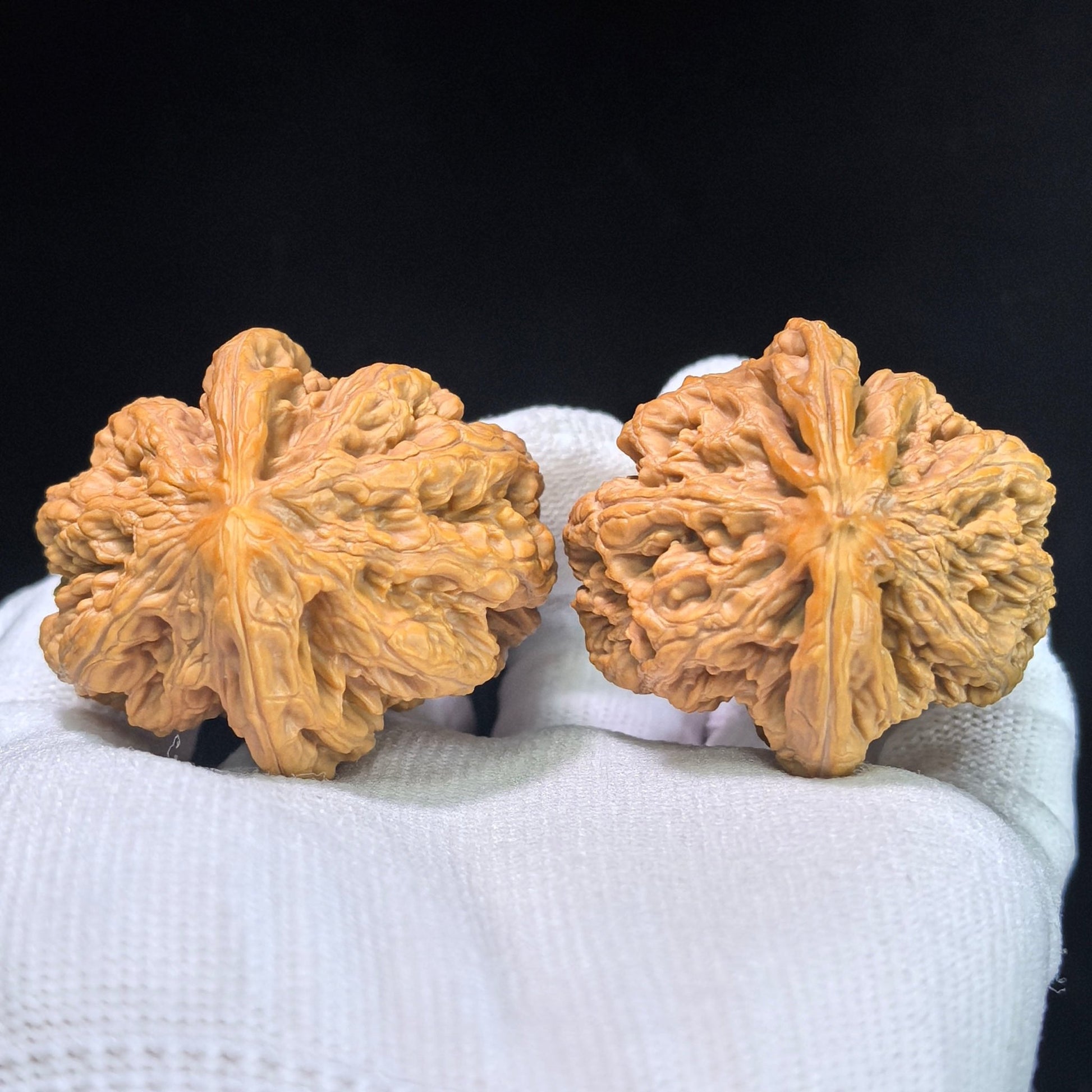 The "Bold-Ribbed Half-Wall" (Cu Jin Ban Bi) Collector-Grade Deep-Belly Pair | 40.0mm x 44.0mm | CJBB-401E - ThePatinaProject