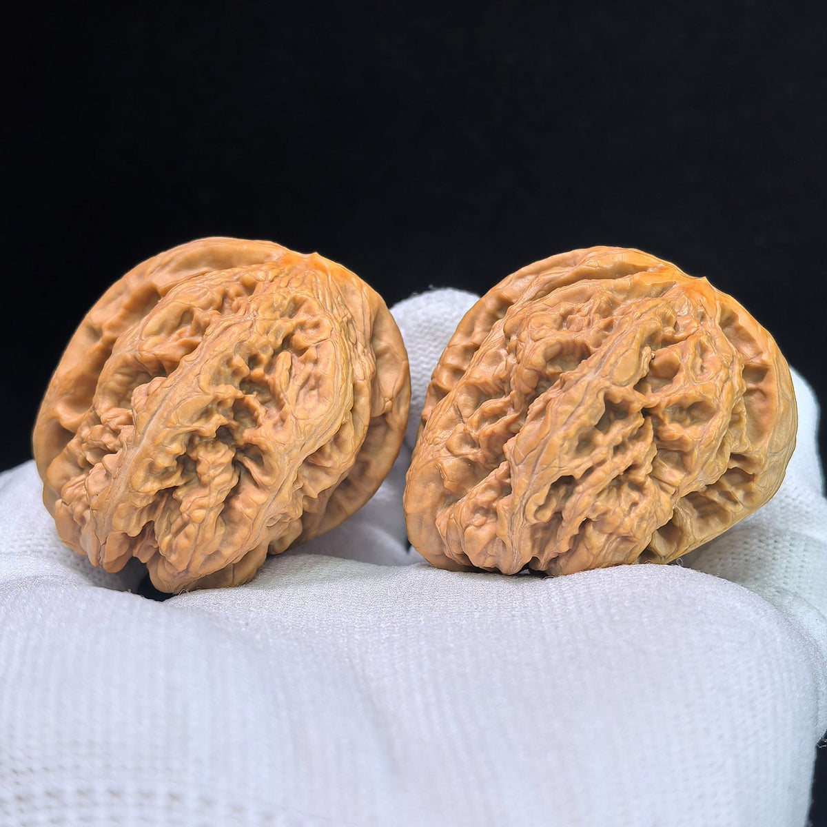 The "Bold-Ribbed Half-Wall" (Cu Jin Ban Bi) Collector-Grade Deep-Belly Pair | 40.0mm x 44.0mm | CJBB-401E - ThePatinaProject