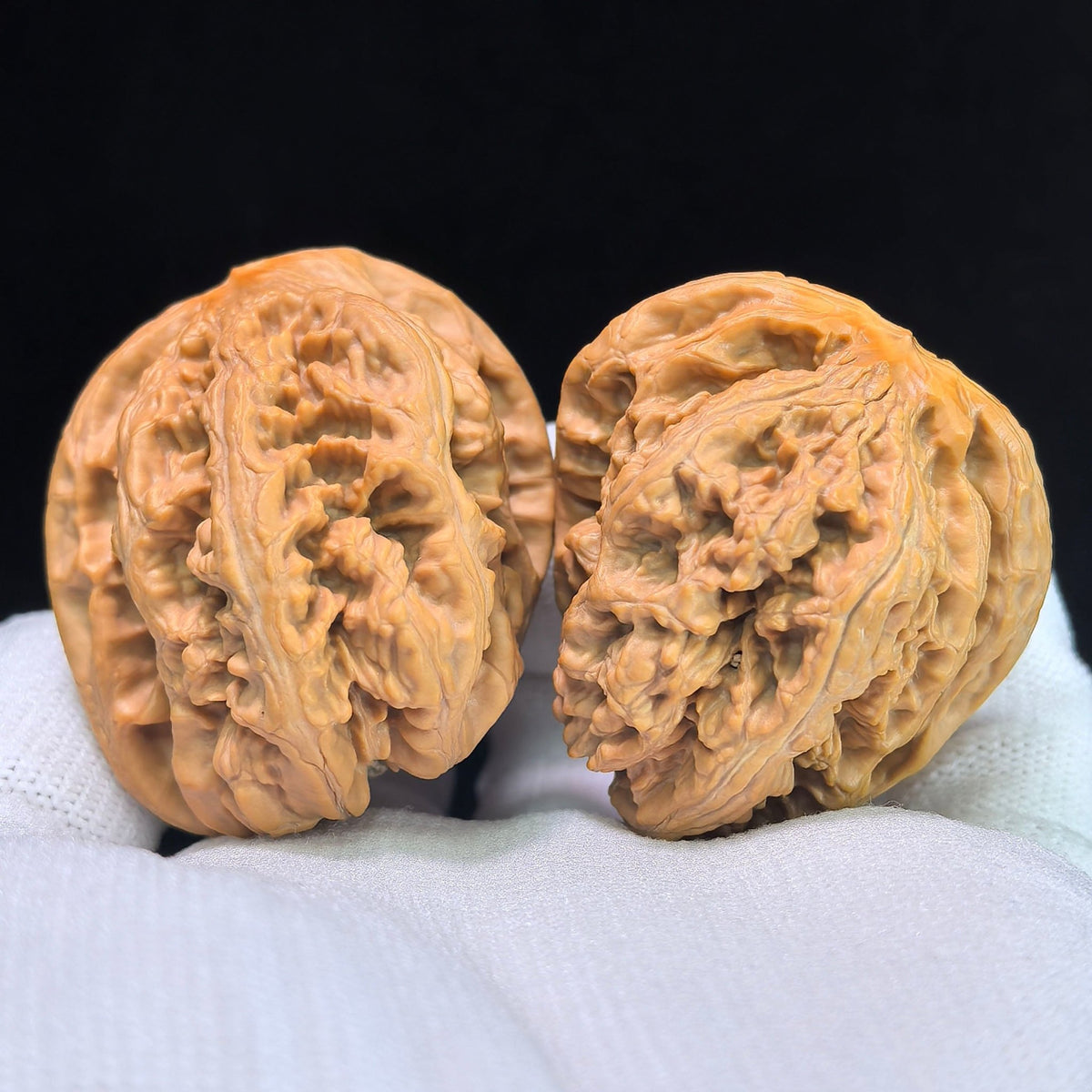 The "Bold-Ribbed Half-Wall" (Cu Jin Ban Bi) Collector-Grade Deep-Belly Pair | 40.0mm x 44.0mm | CJBB-401E - ThePatinaProject