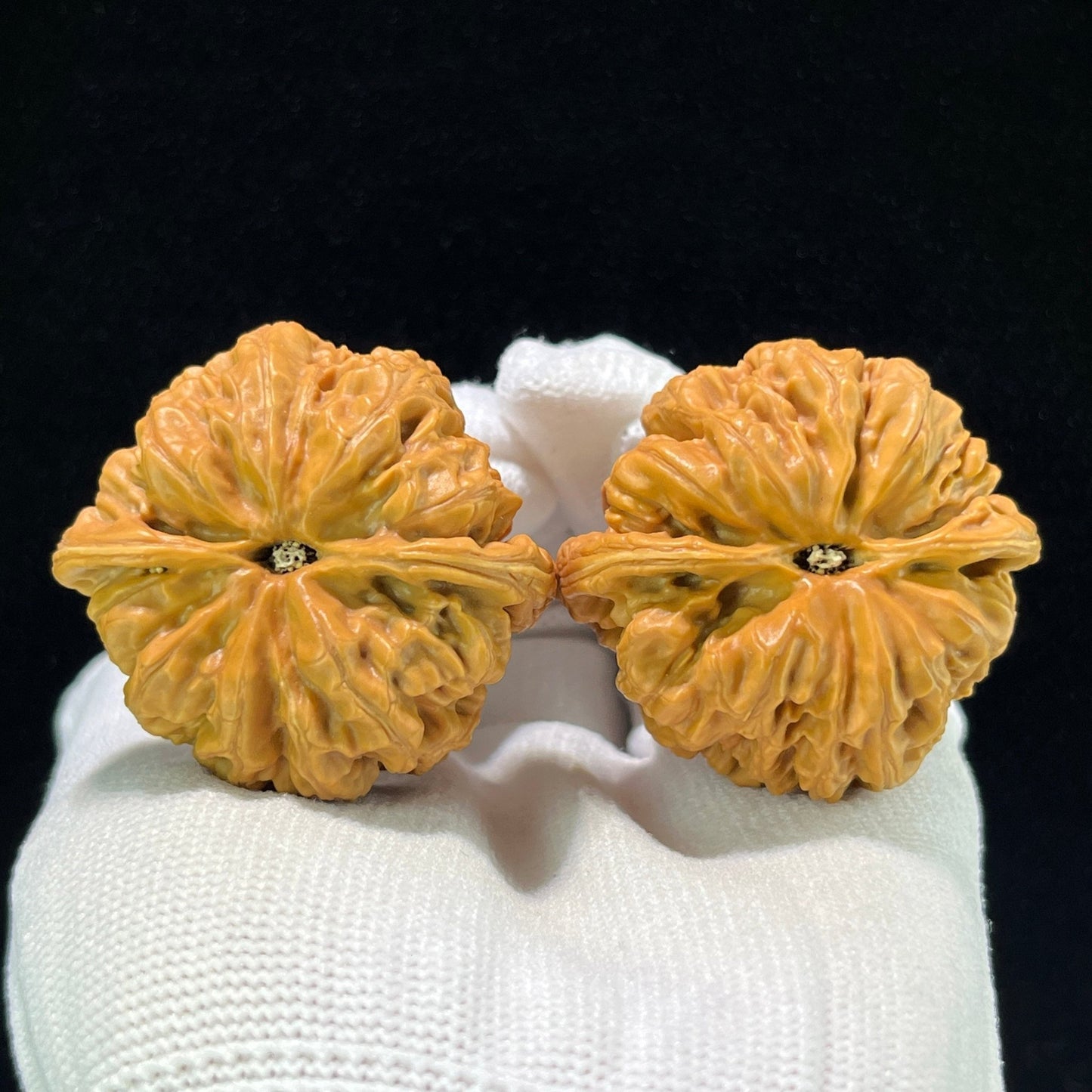 The "Bold-Ribbed Lion Head" (Cu Jin) Balanced Wide-Edge Pair | 42.0mm x 40.0mm | CJ-1001 - ThePatinaProject