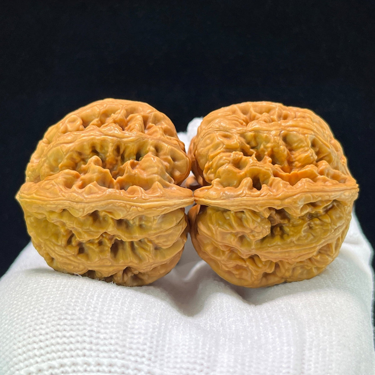 The "Bold-Ribbed Lion Head" (Cu Jin) Balanced Wide-Edge Pair | 42.0mm x 40.0mm | CJ-1001 - ThePatinaProject