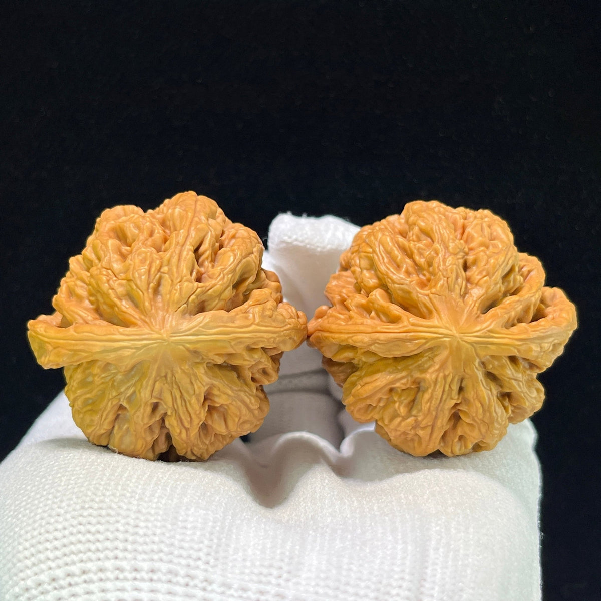 The "Bold-Ribbed Lion Head" (Cu Jin) Balanced Wide-Edge Pair | 42.0mm x 40.0mm | CJ-1001 - ThePatinaProject