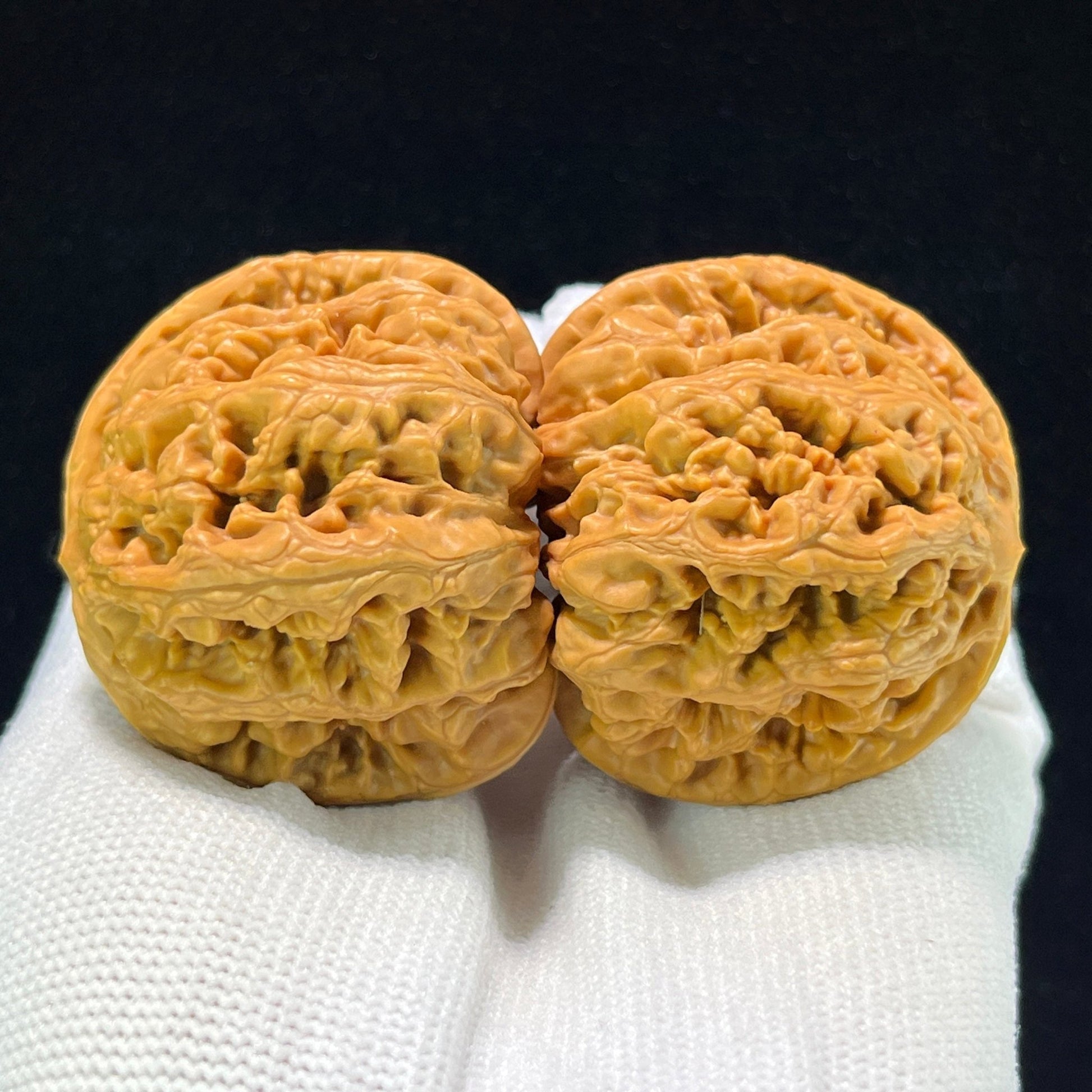 The "Bold-Ribbed Lion Head" (Cu Jin) Balanced Wide-Edge Pair | 42.0mm x 40.0mm | CJ-1001 - ThePatinaProject