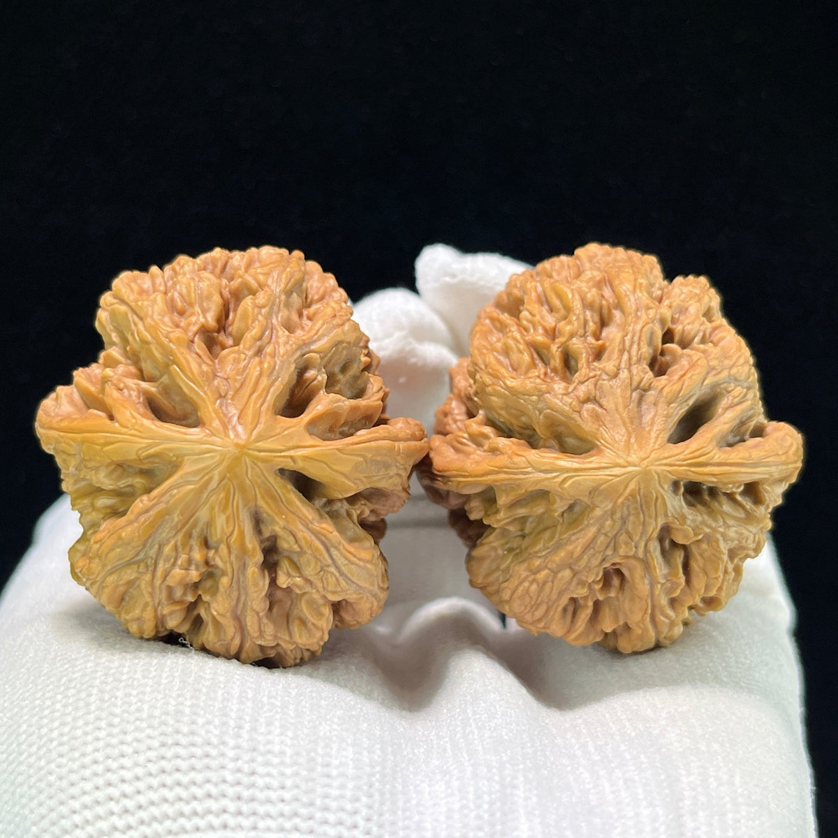 The "Bold-Ribbed Lion Head" (Cu Jin) Elongated Deep-Belly Pair | 39.0mm x 43.0mm | CJ-1002 - ThePatinaProject