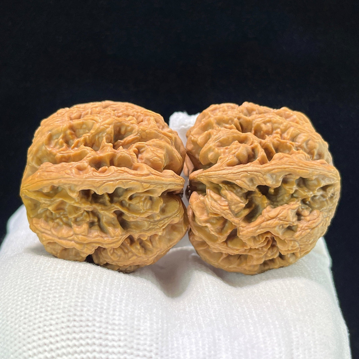 The "Bold-Ribbed Lion Head" (Cu Jin) Elongated Deep-Belly Pair | 39.0mm x 43.0mm | CJ-1002 - ThePatinaProject